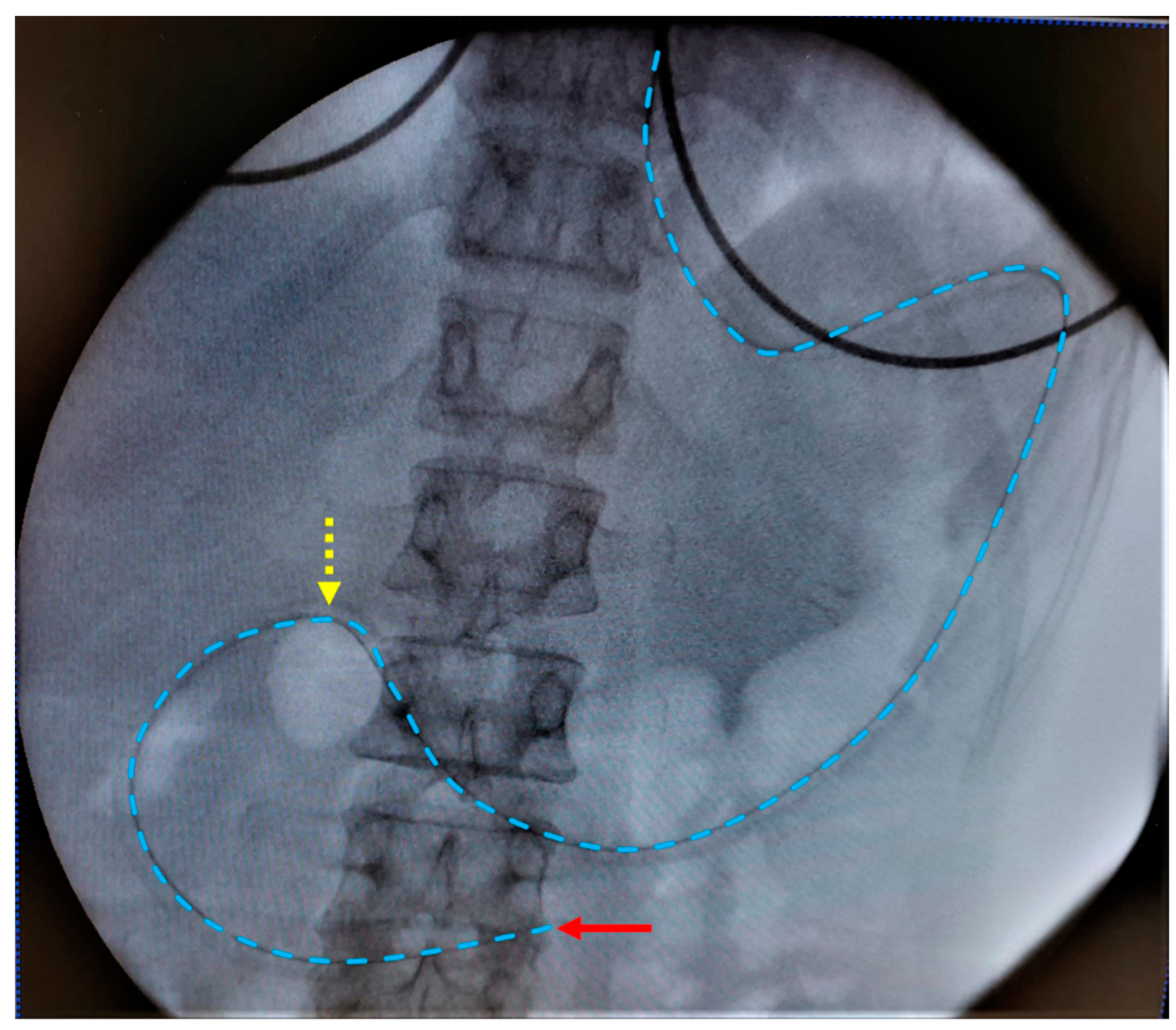 Pharmaceutics 15 01243 g002
