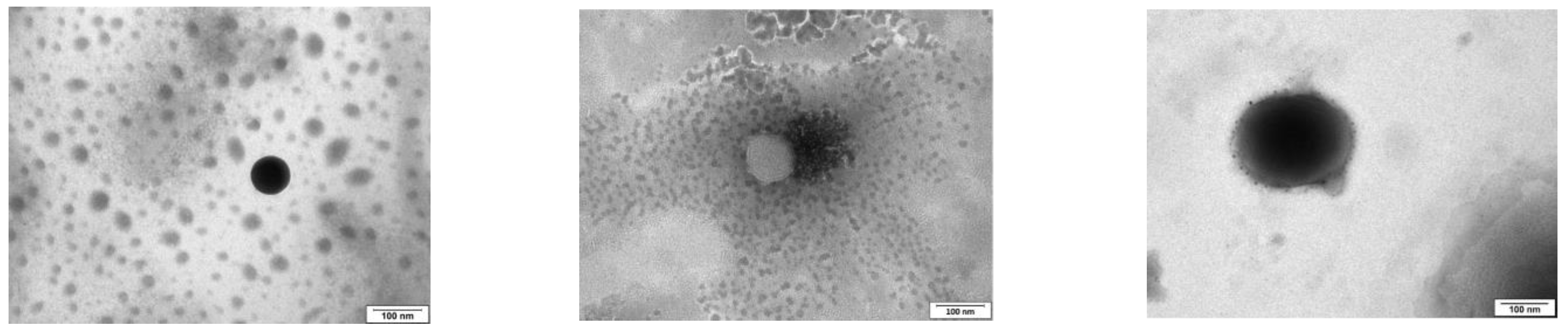 Pharmaceutics 15 01247 g001