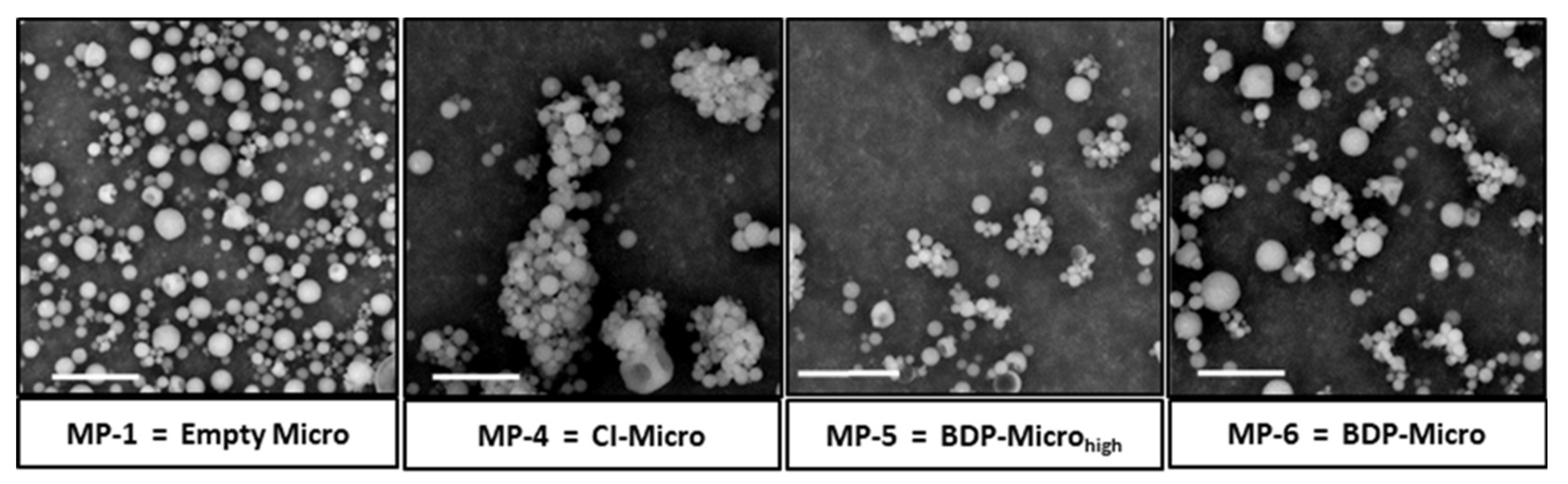 Pharmaceutics 15 01248 g002