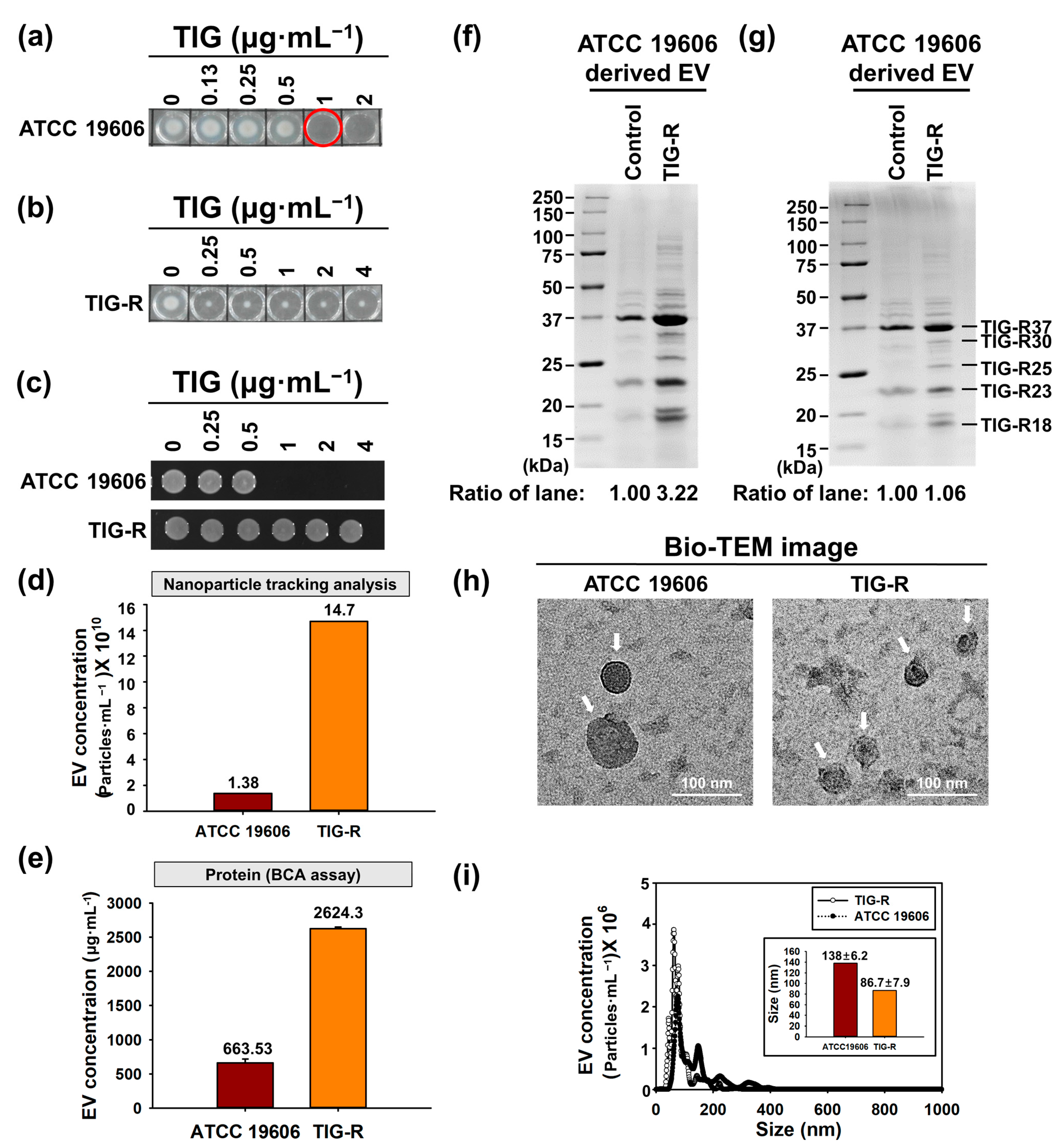 Pharmaceutics 15 01251 g001 Pharmaceutics 15 01251 g001