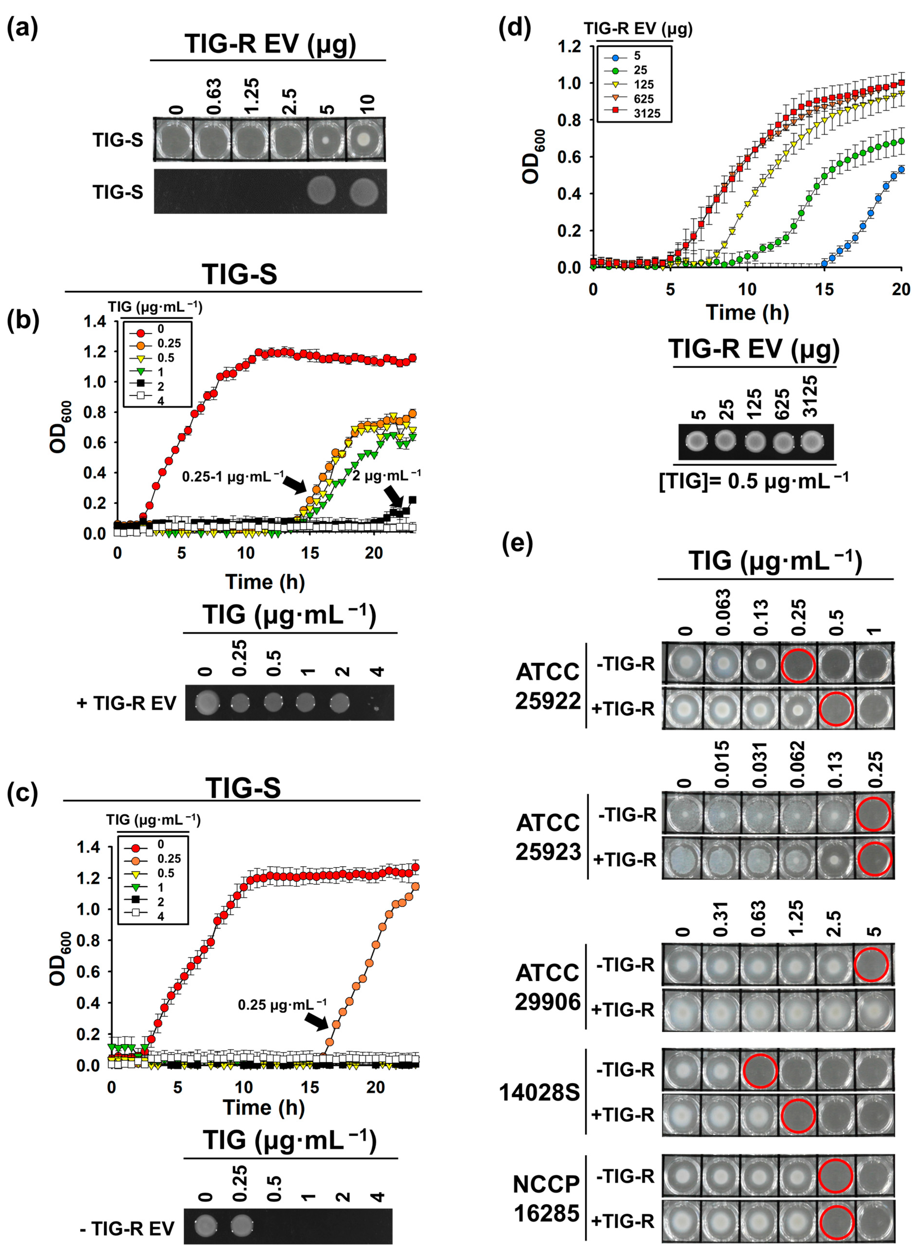 Pharmaceutics 15 01251 g002 Pharmaceutics 15 01251 g002