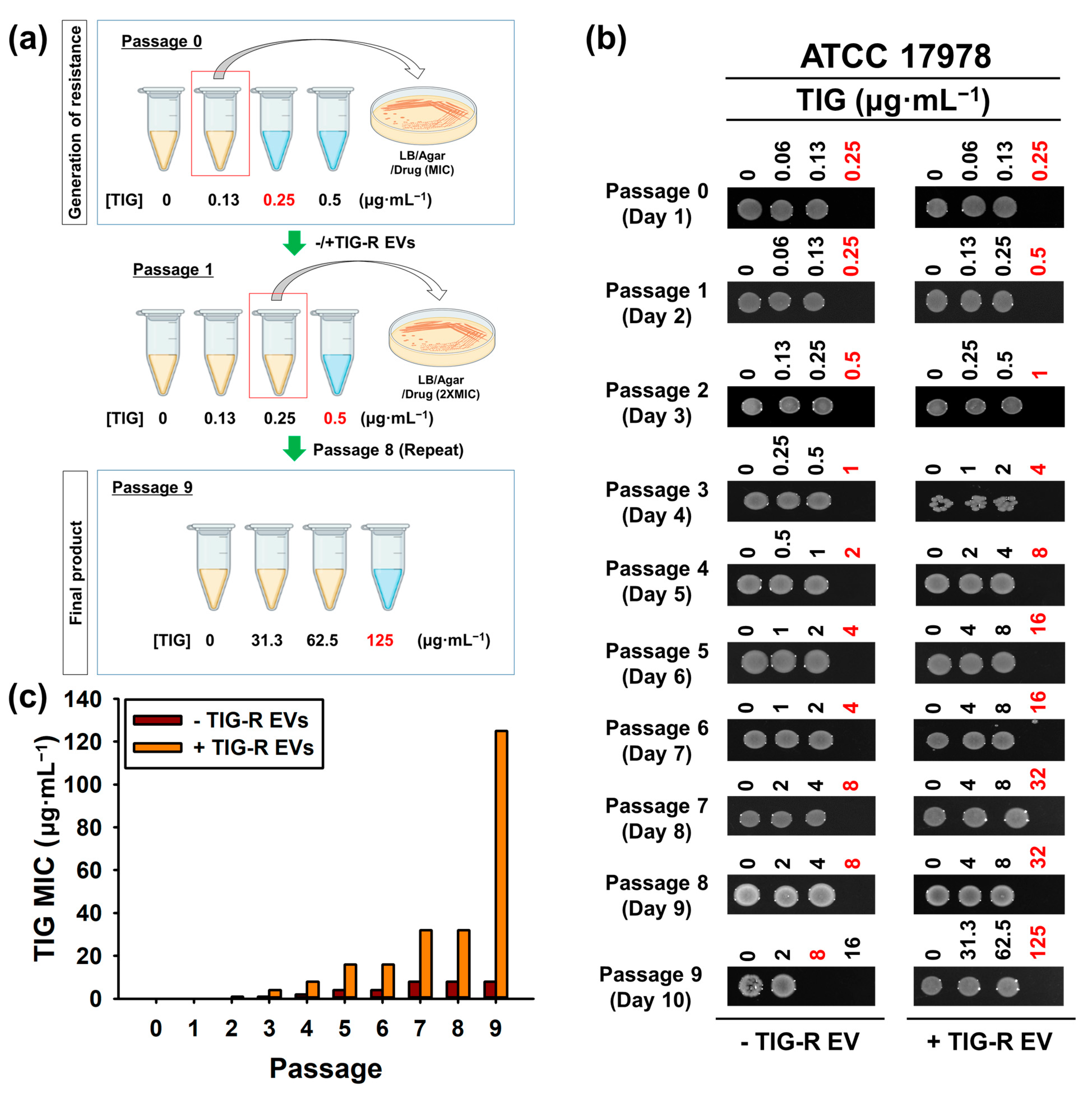 Pharmaceutics 15 01251 g004 Pharmaceutics 15 01251 g004