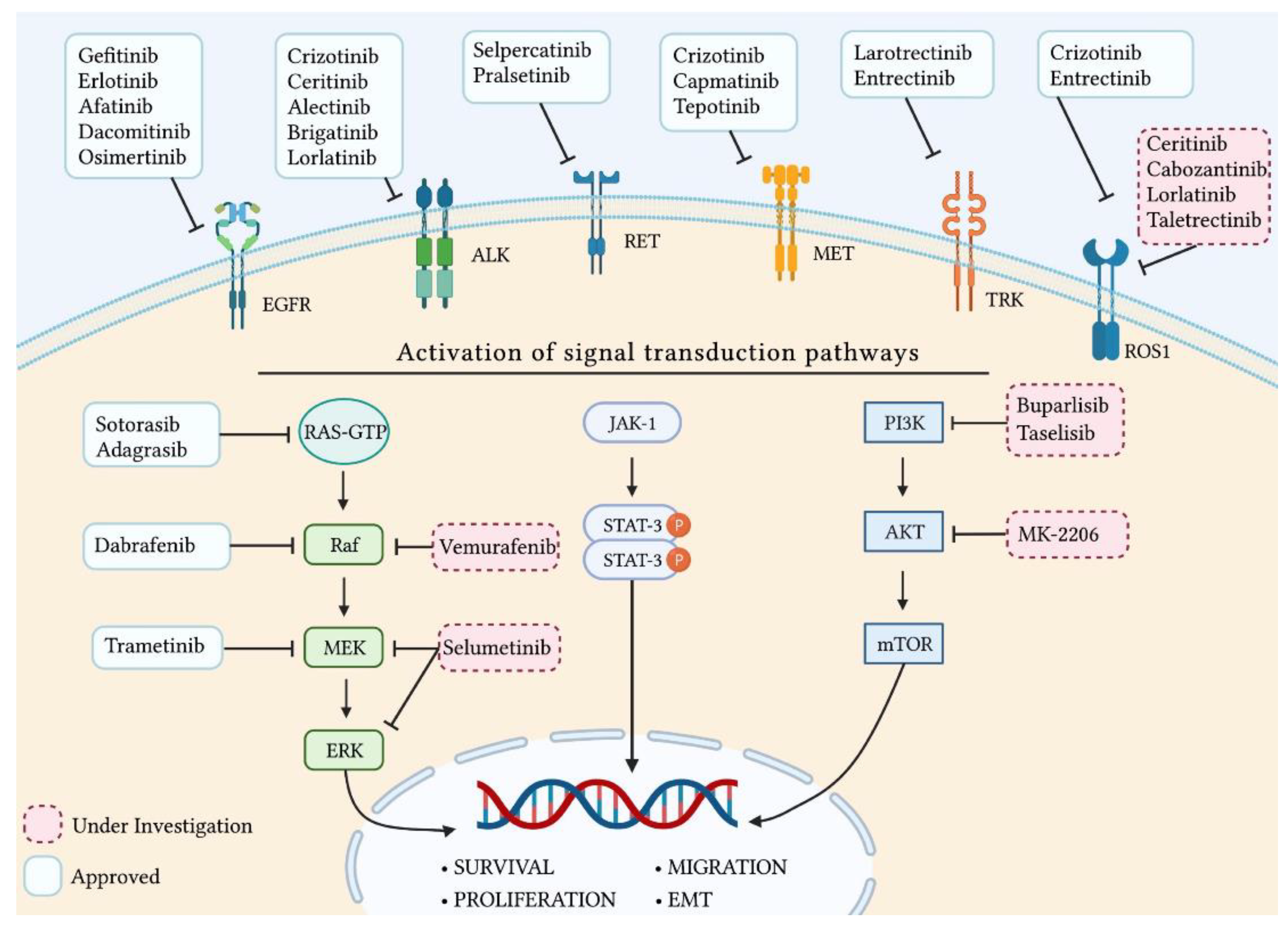 Pharmaceutics 15 01252 g001