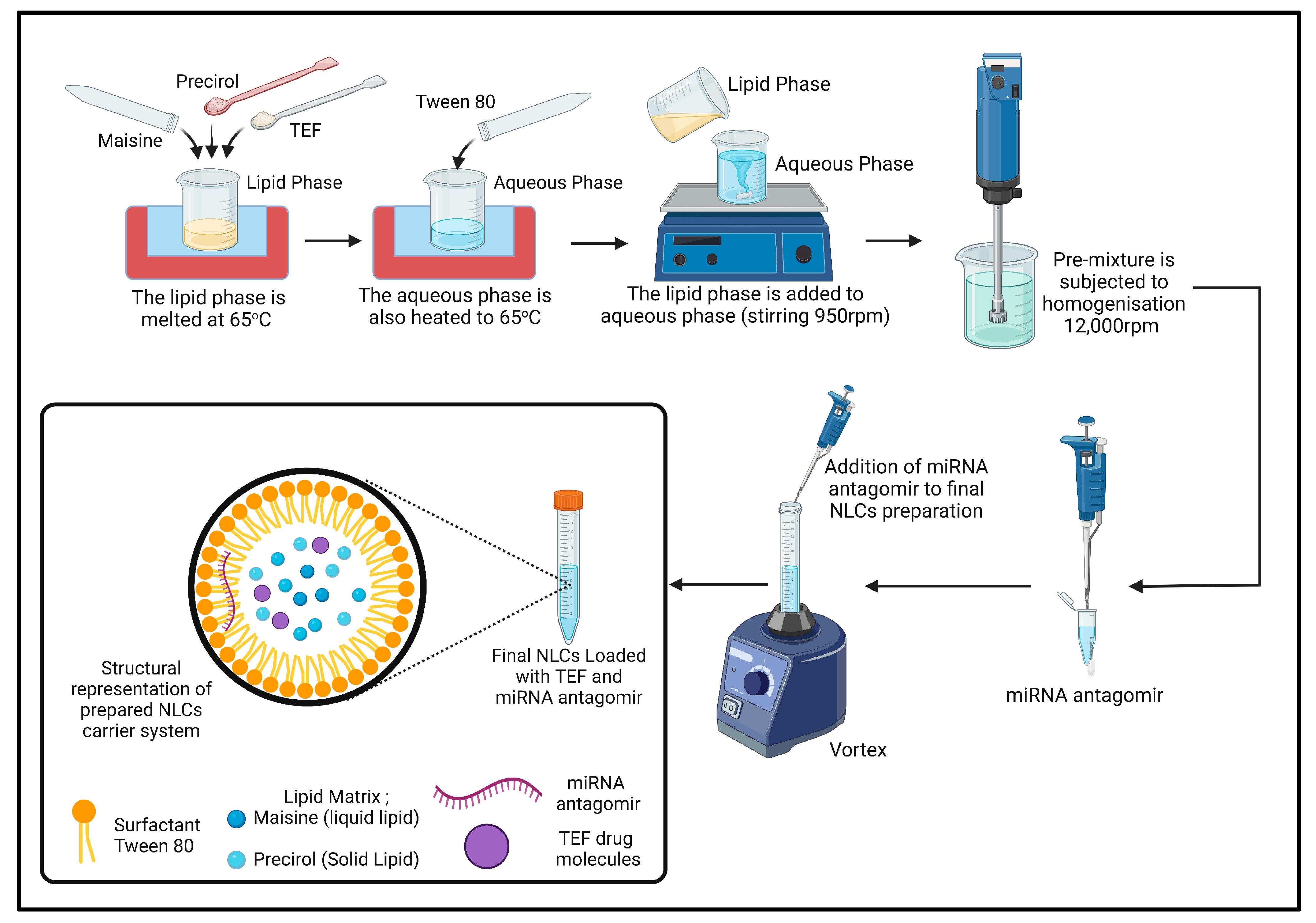Pharmaceutics 15 01254 g001