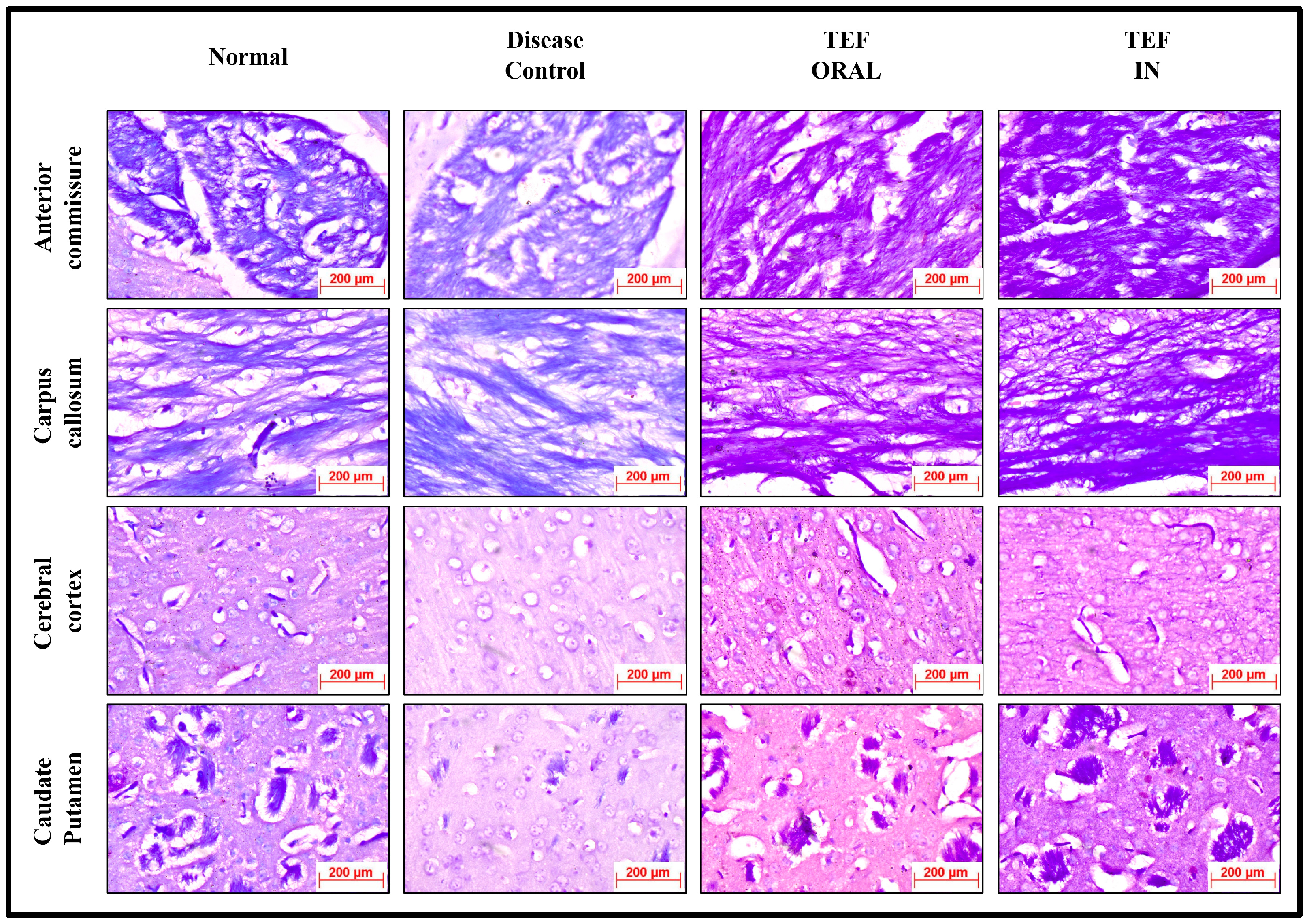 Pharmaceutics 15 01254 g007