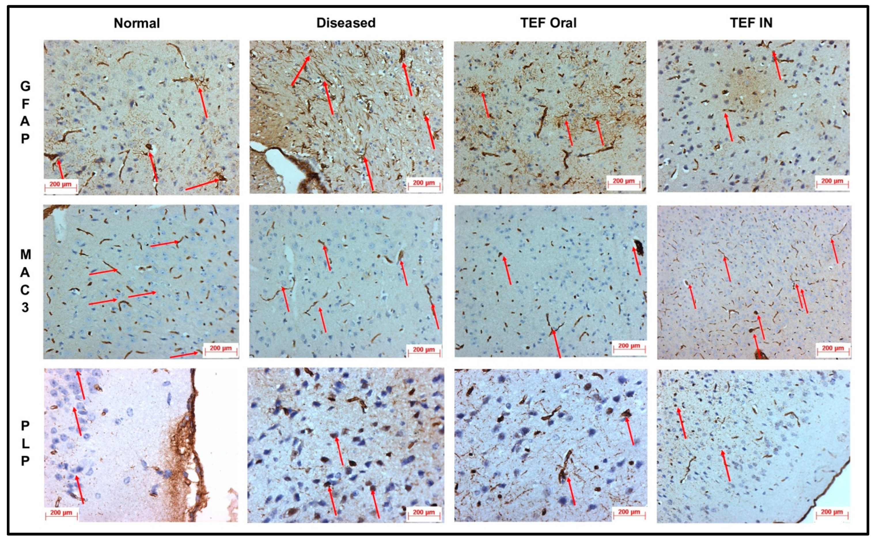 Pharmaceutics 15 01254 g009