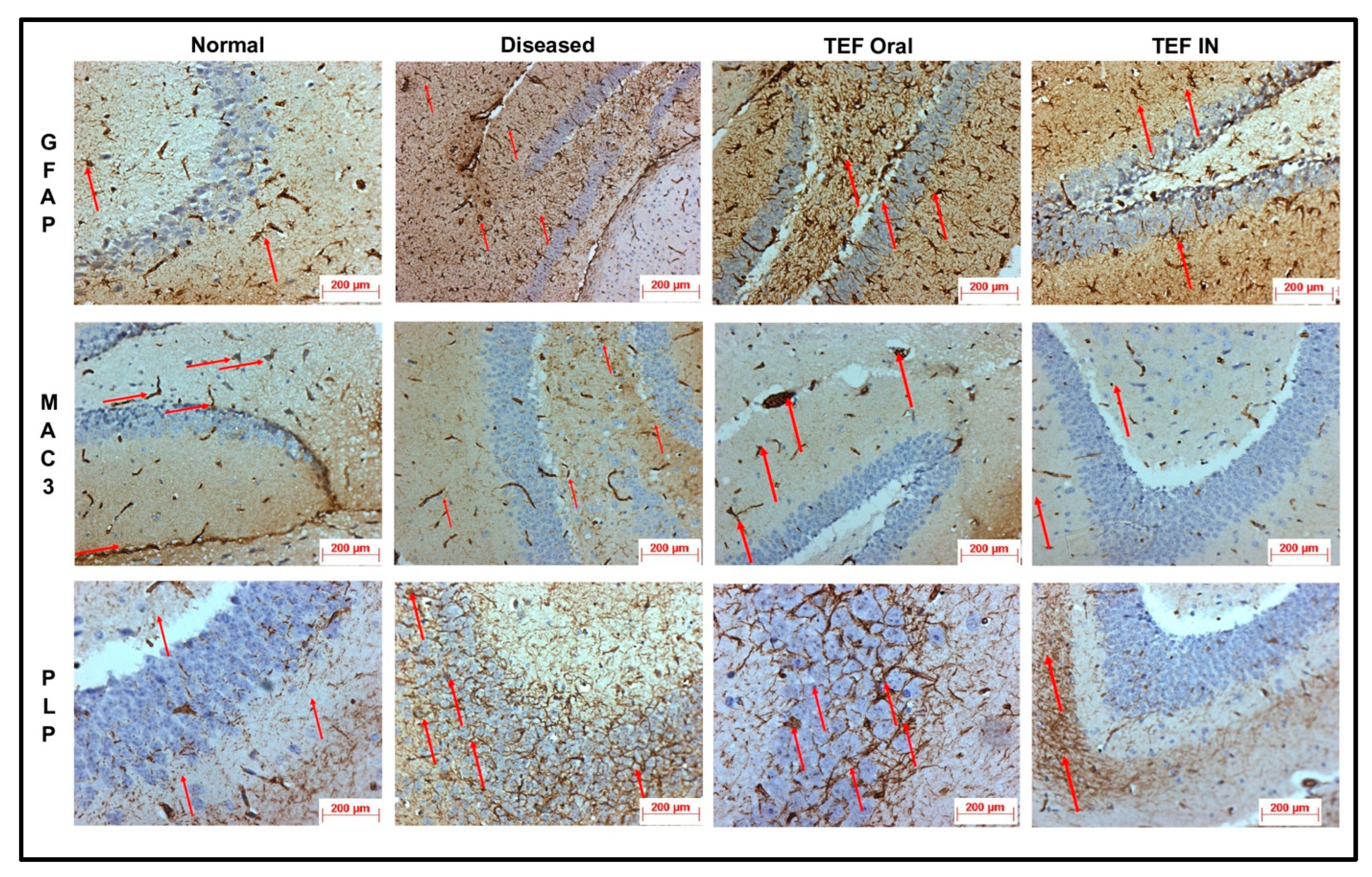 Pharmaceutics 15 01254 g010