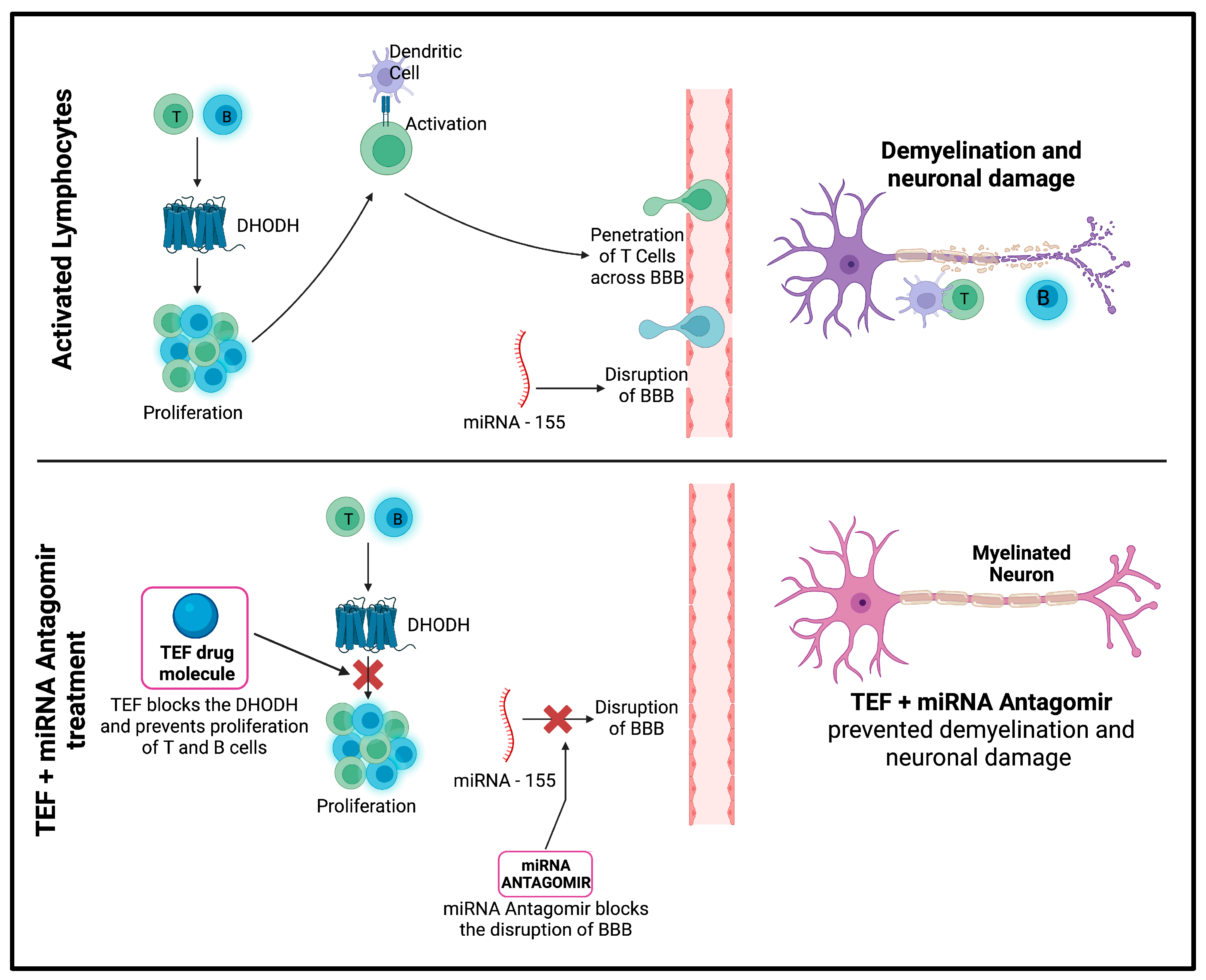 Pharmaceutics 15 01254 g012
