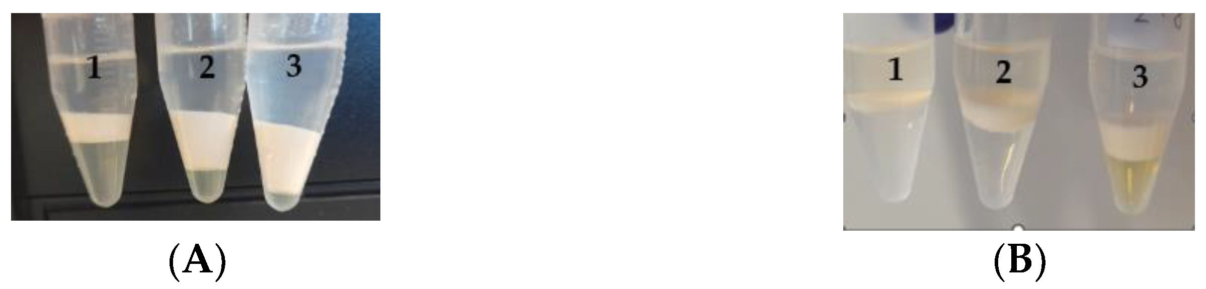 Pharmaceutics 15 01255 g001 Pharmaceutics 15 01255 g001