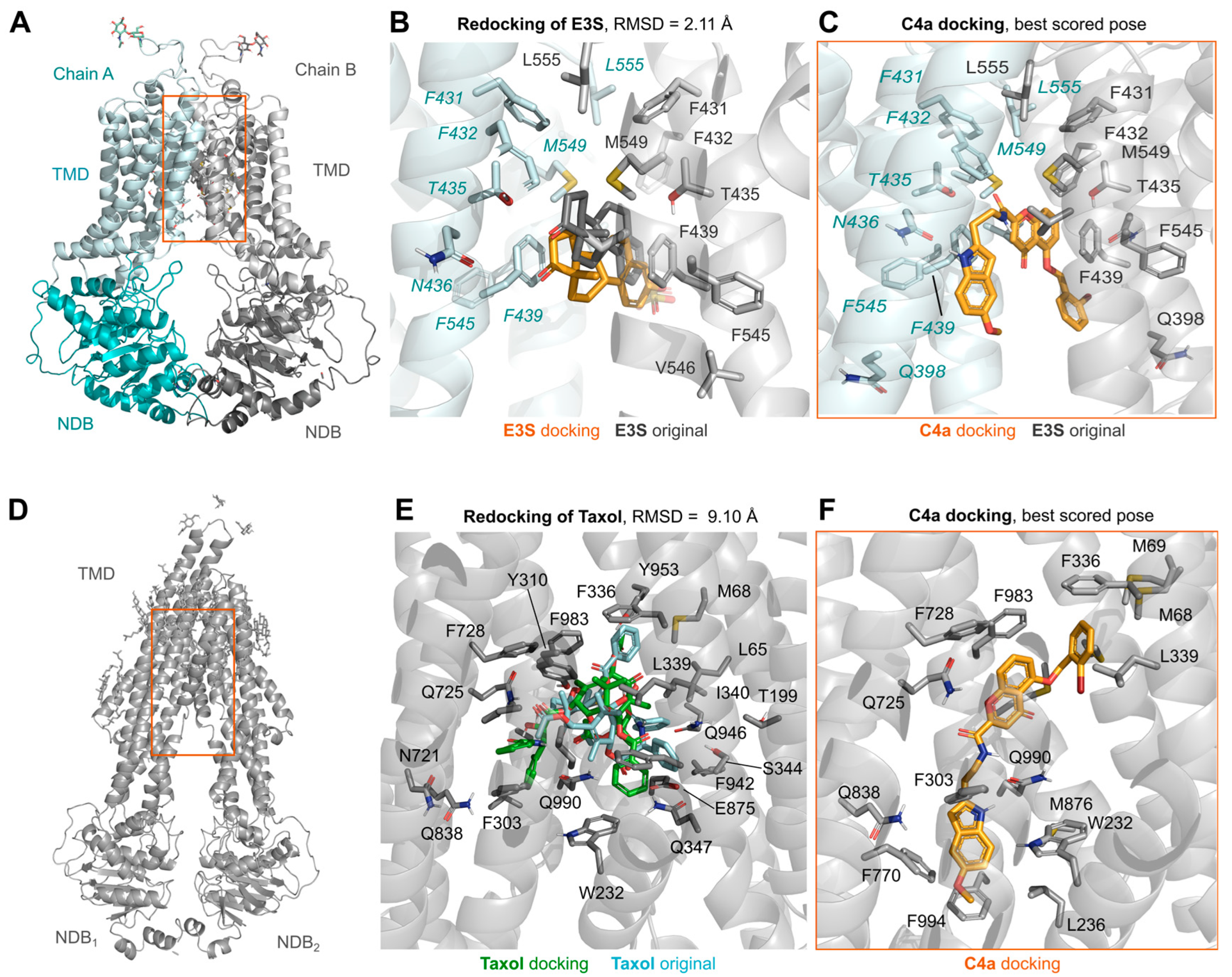 Pharmaceutics 15 01259 g002