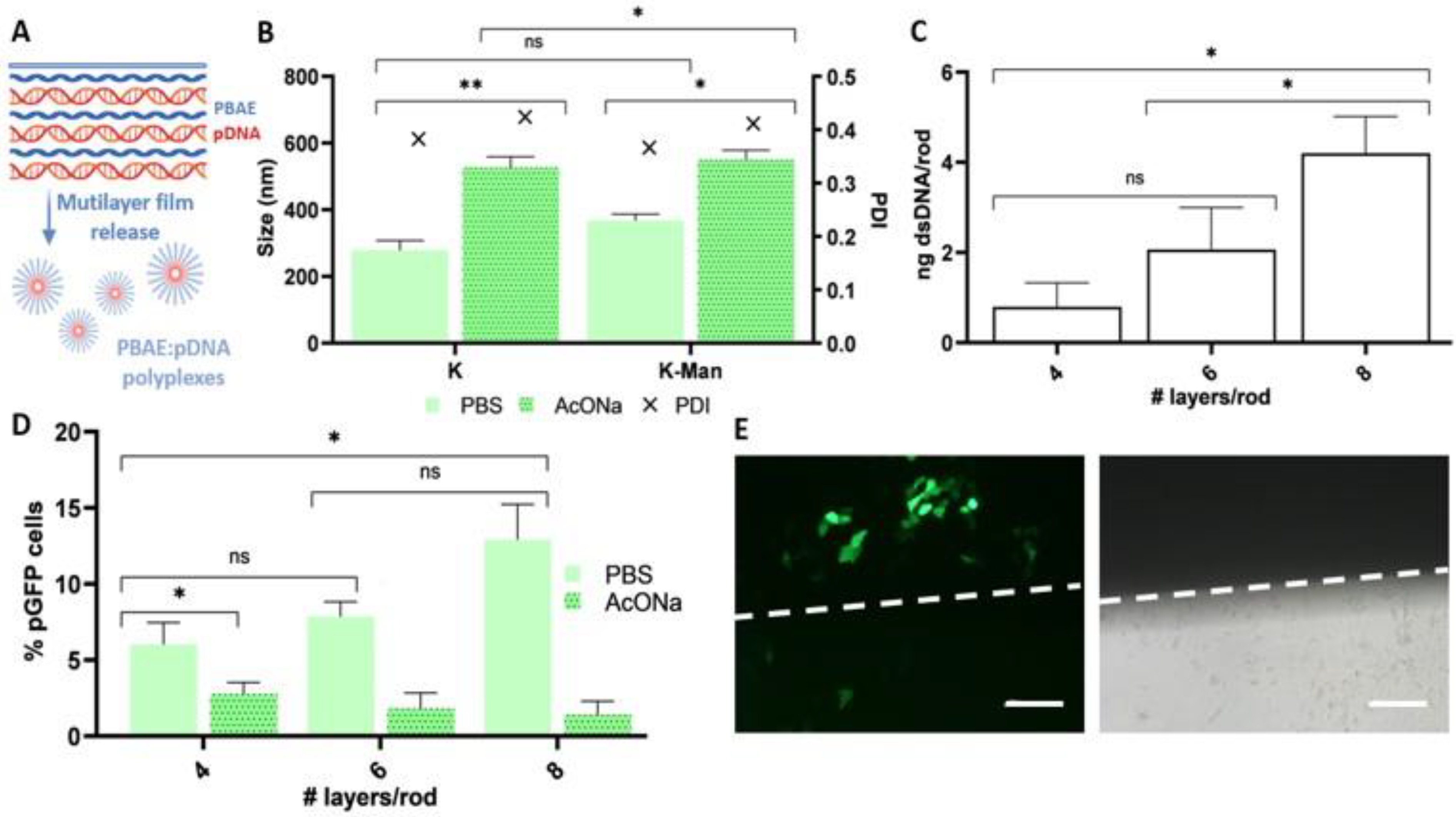 Pharmaceutics 15 01262 g005