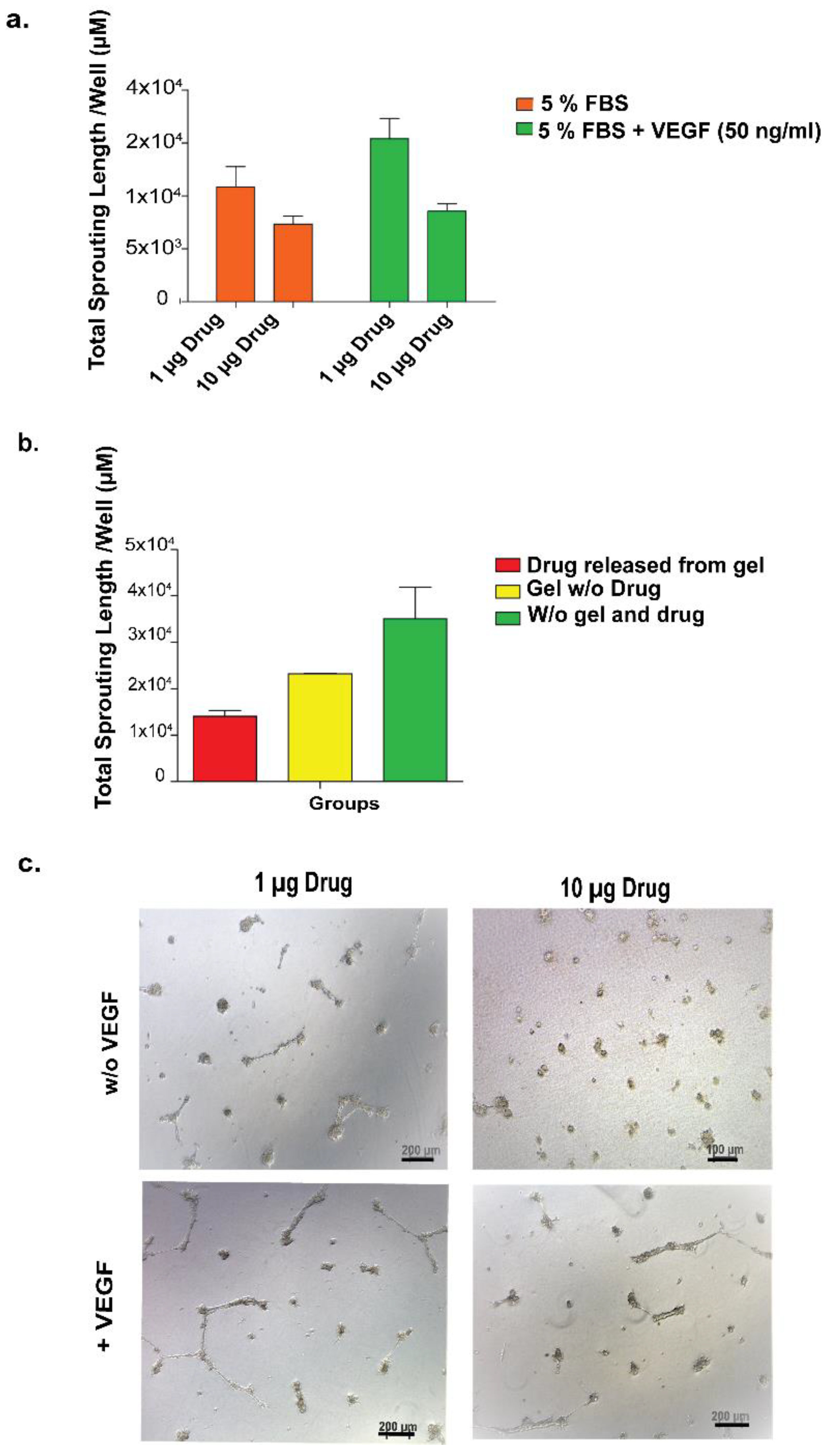 Pharmaceutics 15 01264 g004