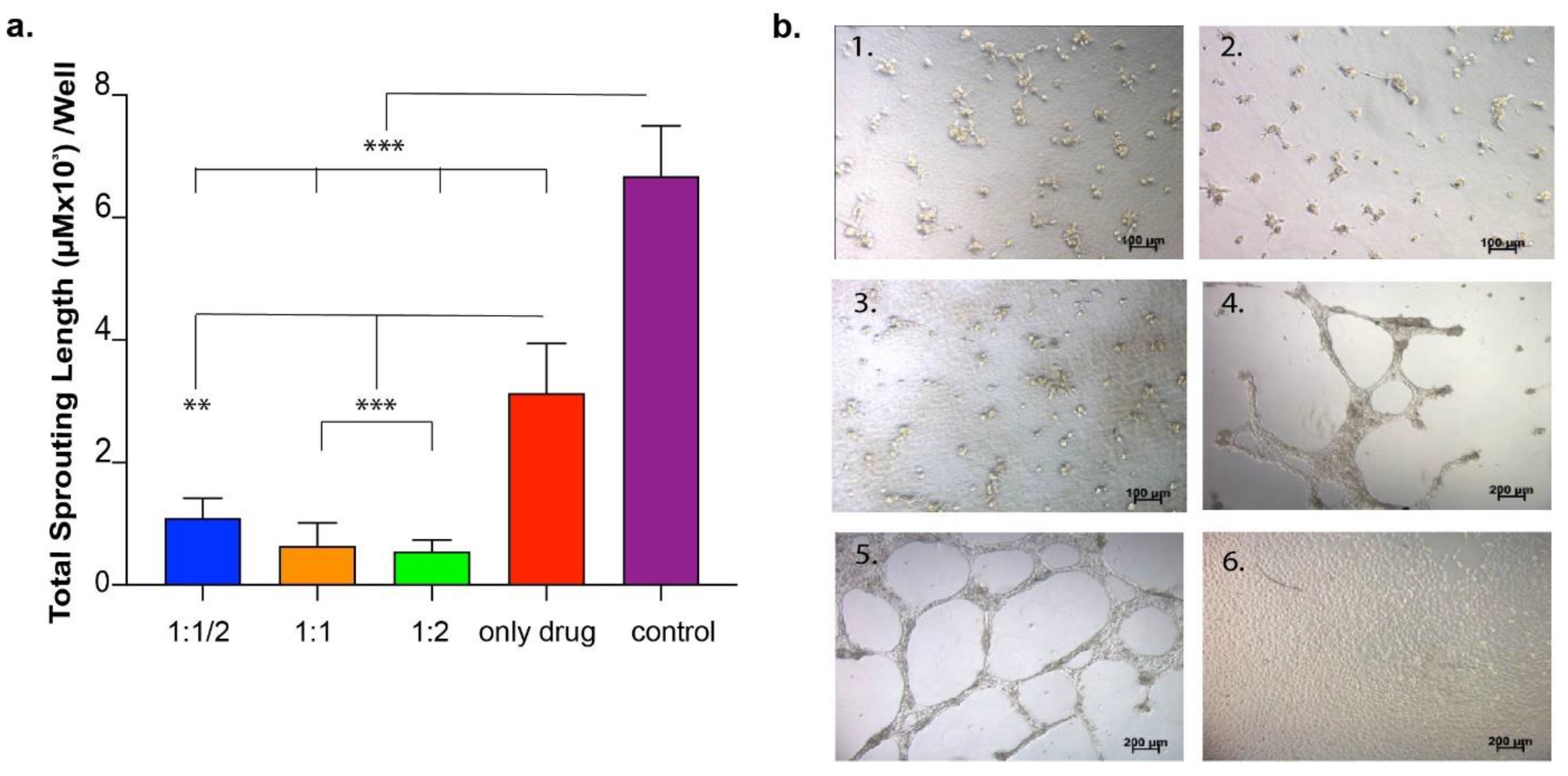Pharmaceutics 15 01264 g005