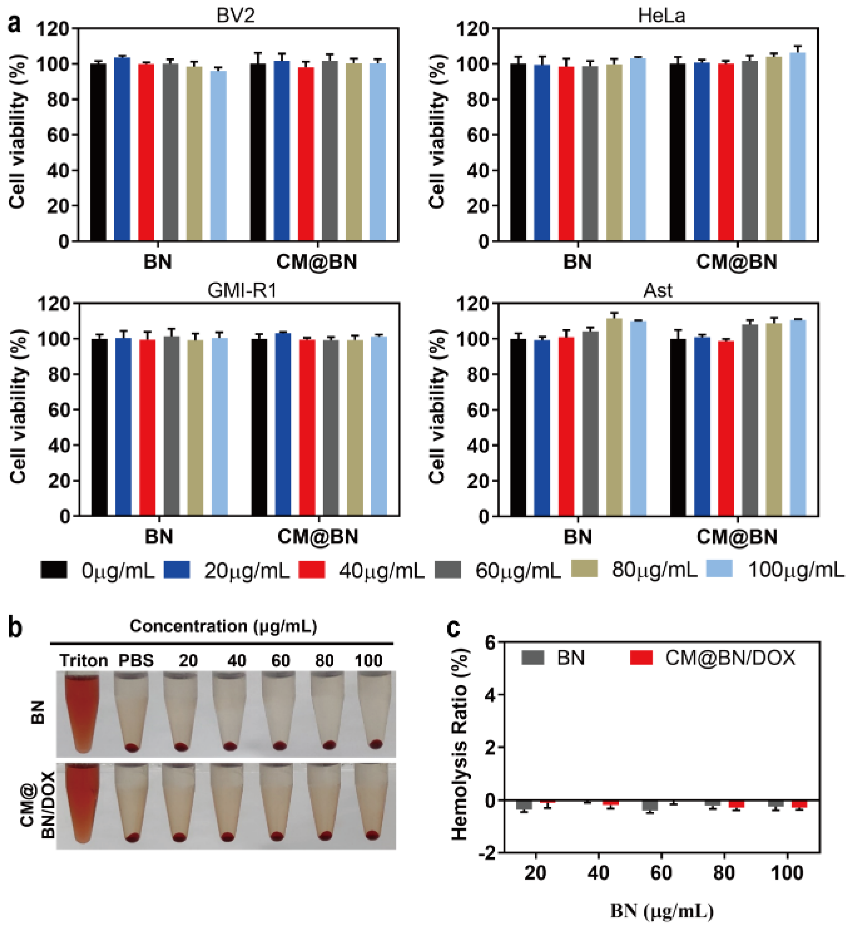 Pharmaceutics 15 01269 g003 Pharmaceutics 15 01269 g003