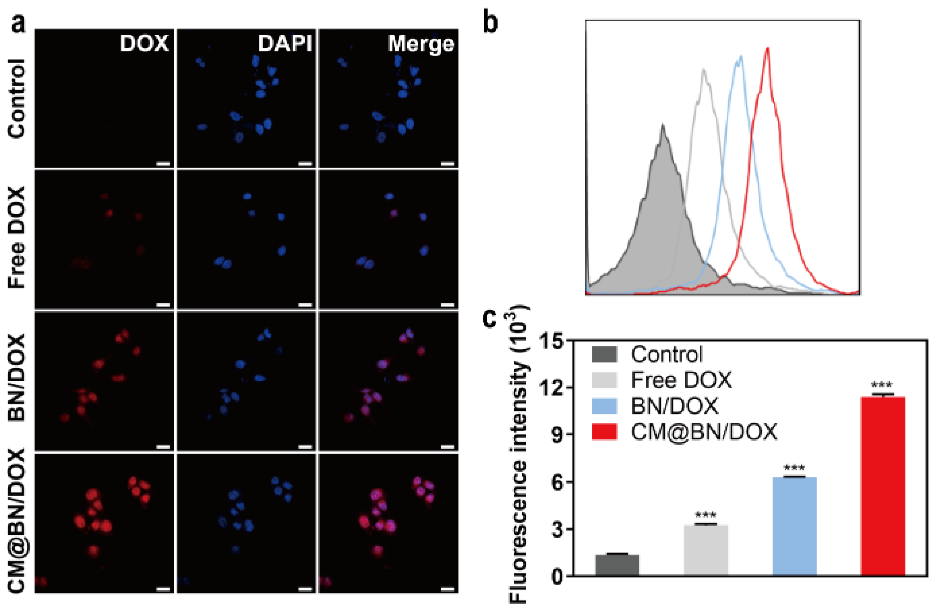 Pharmaceutics 15 01269 g005 Pharmaceutics 15 01269 g005