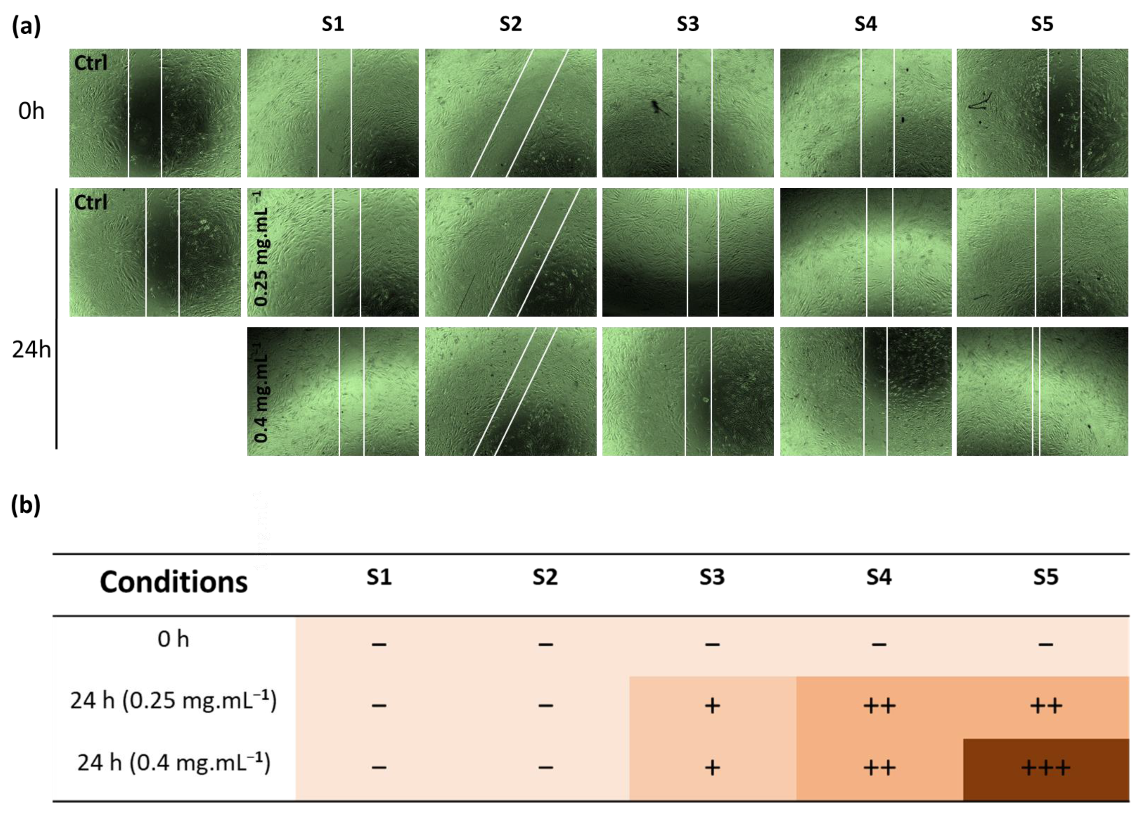 Pharmaceutics 15 01270 g007 Pharmaceutics 15 01270 g007