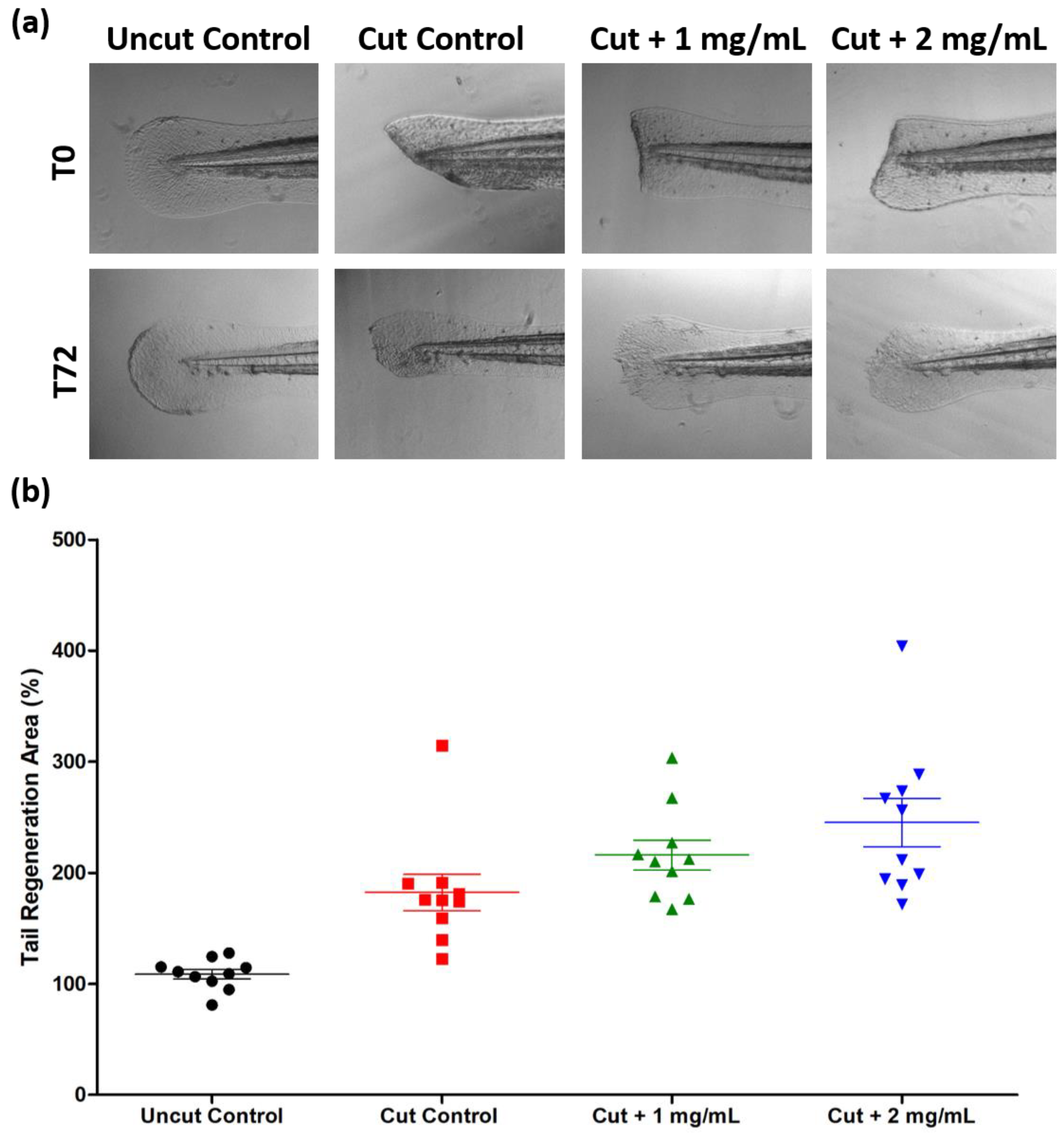 Pharmaceutics 15 01270 g008 Pharmaceutics 15 01270 g008