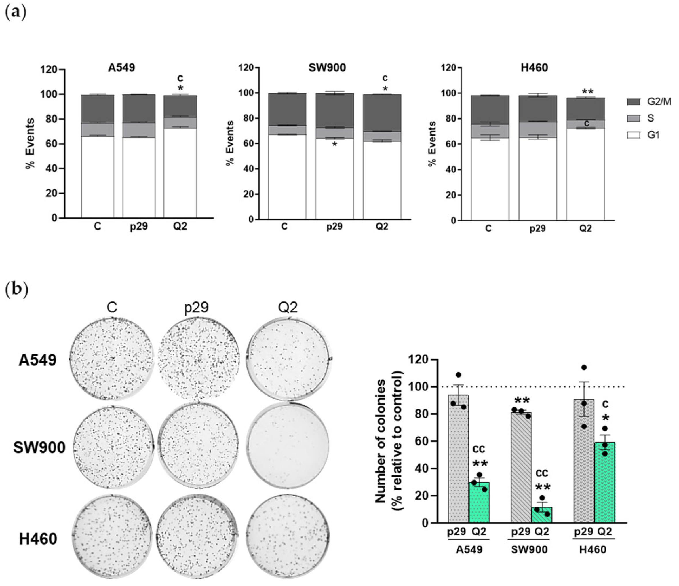 Pharmaceutics 15 01273 g003 Pharmaceutics 15 01273 g003