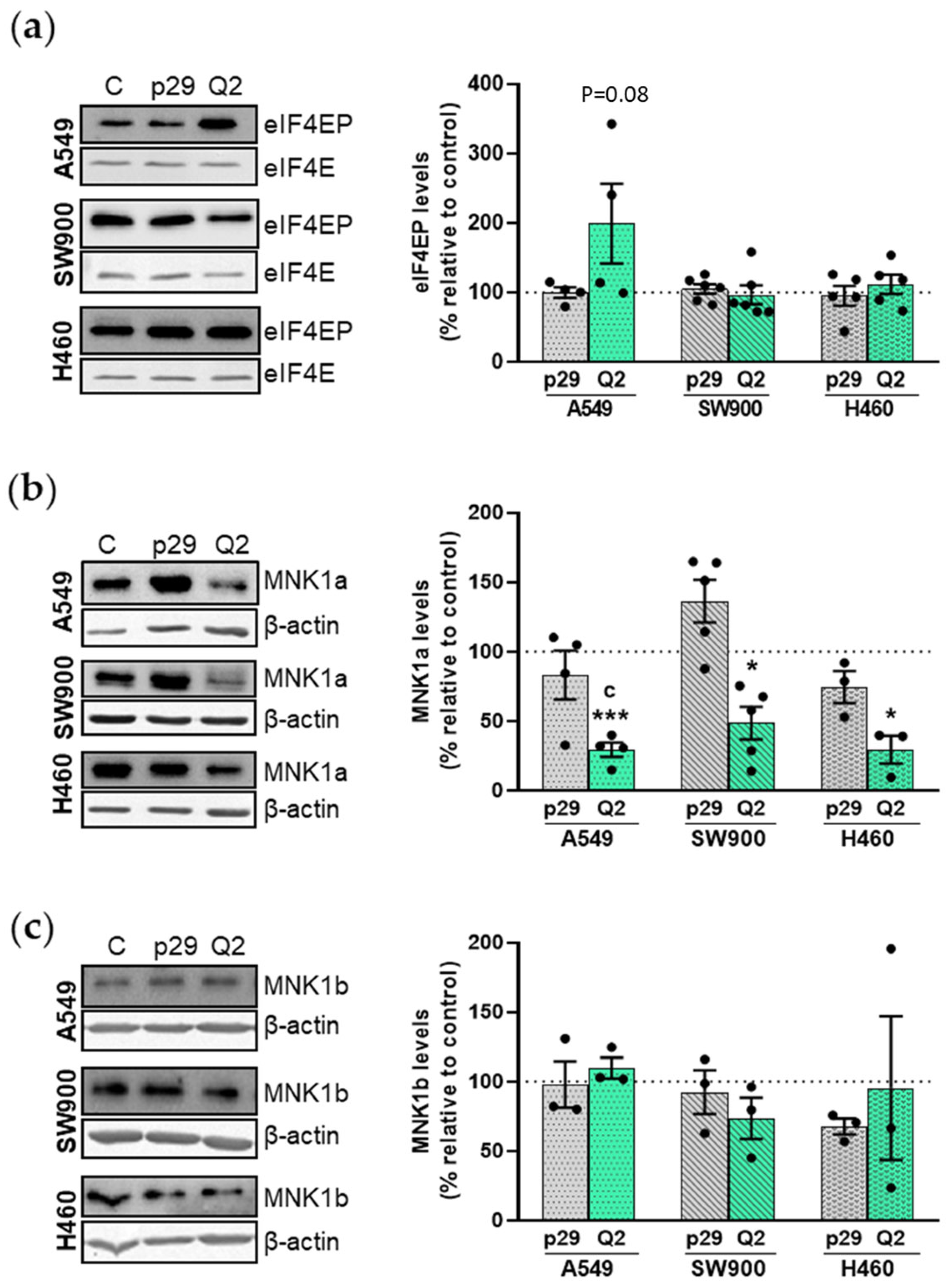 Pharmaceutics 15 01273 g005 Pharmaceutics 15 01273 g005