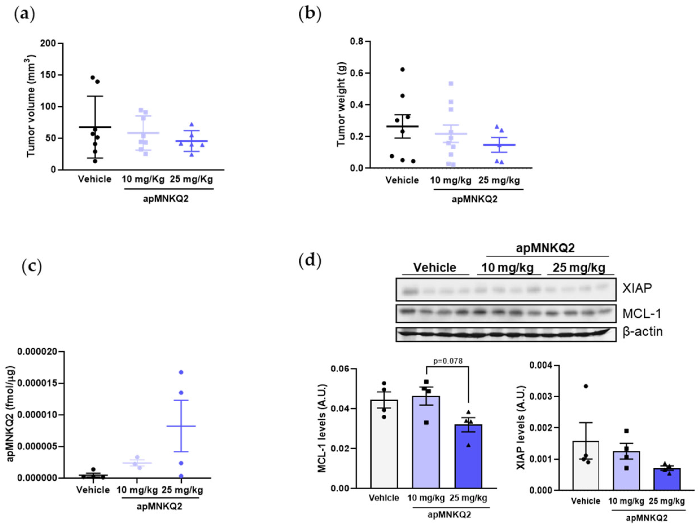 Pharmaceutics 15 01273 g006 Pharmaceutics 15 01273 g006