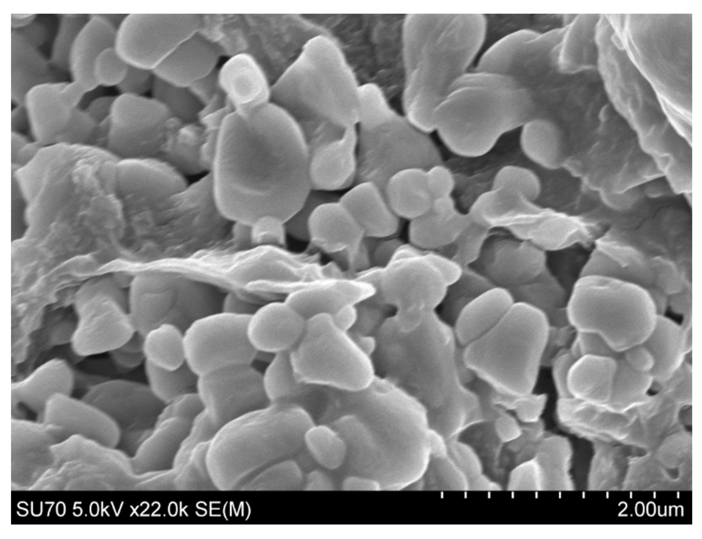 Pharmaceutics 15 01277 g004