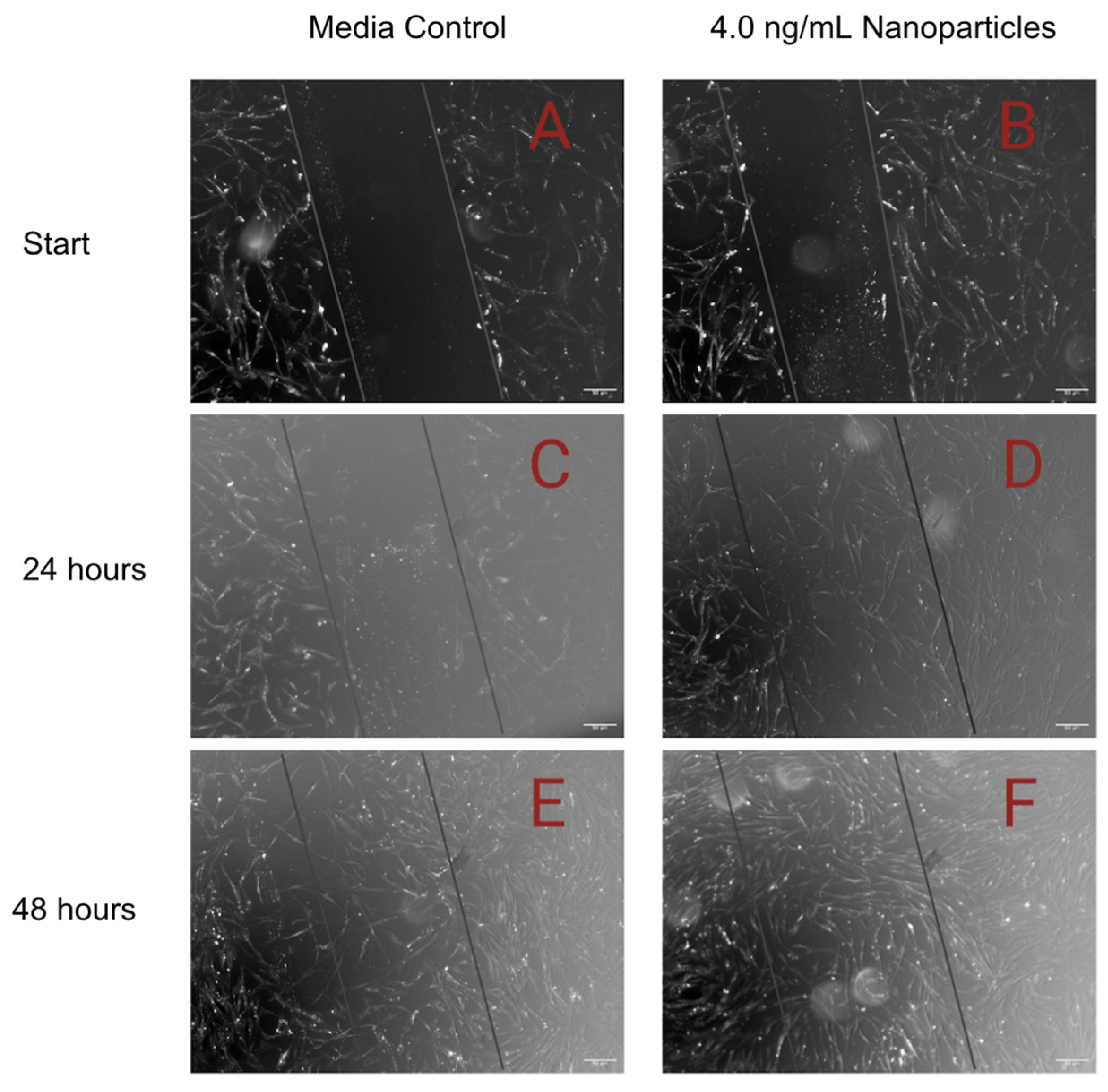 Pharmaceutics 15 01277 g008
