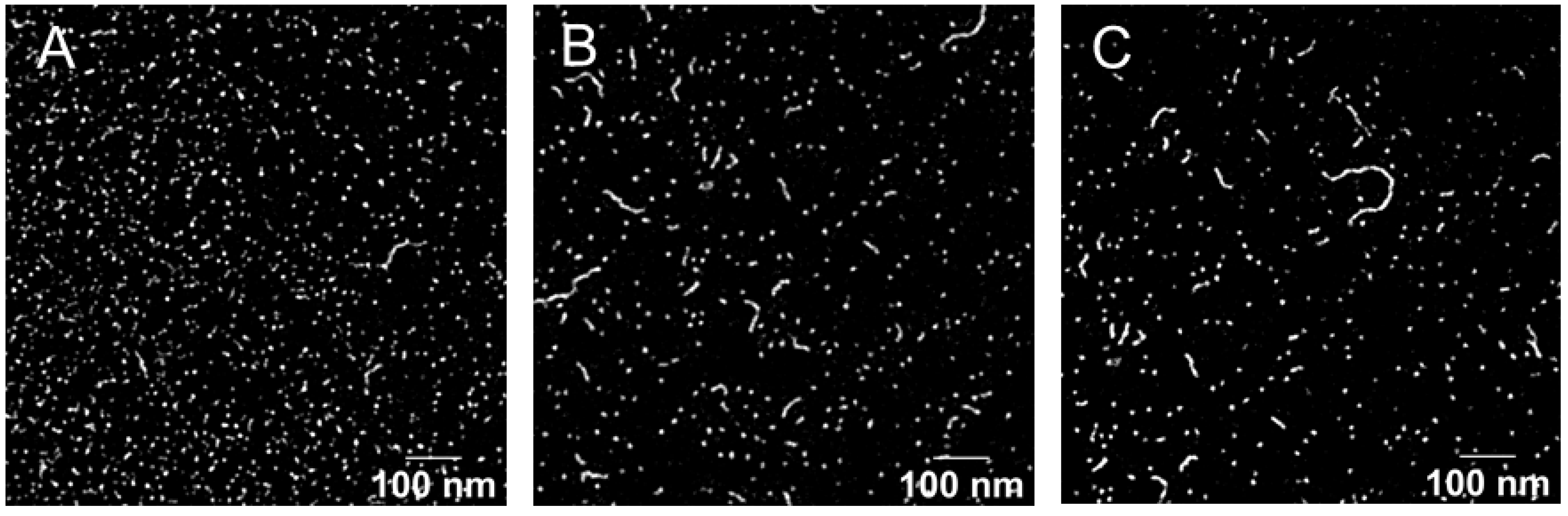 Pharmaceutics 15 01278 g005