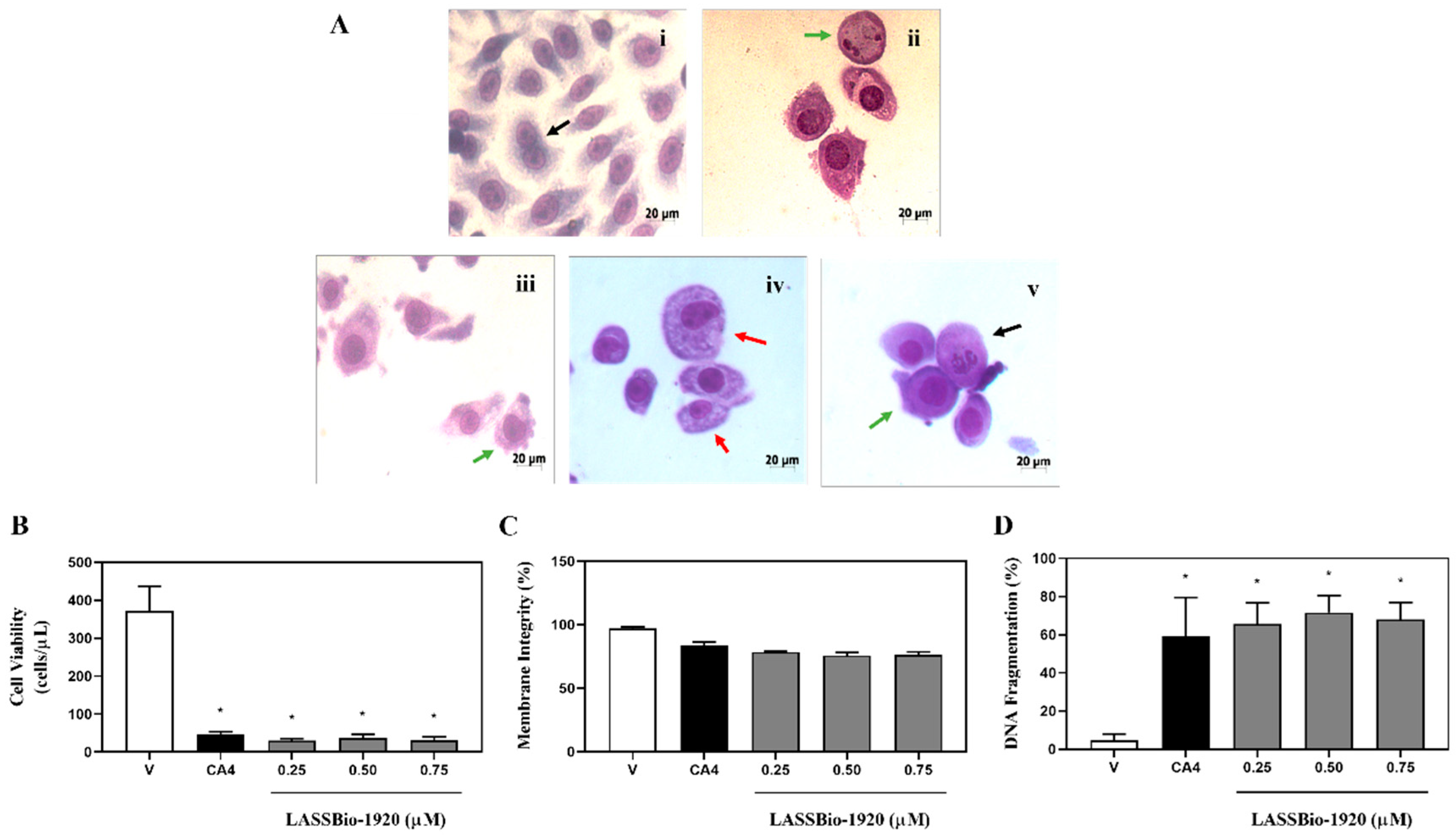 Pharmaceutics 15 01282 g003 Pharmaceutics 15 01282 g003
