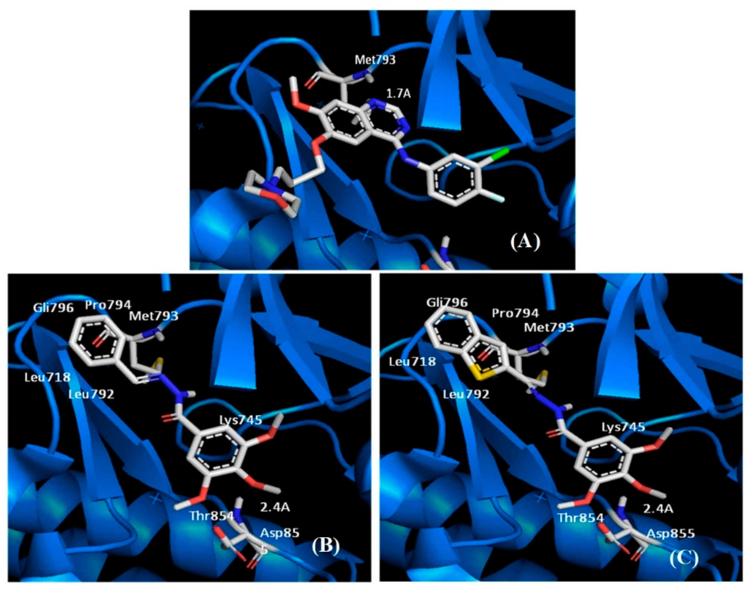 Pharmaceutics 15 01282 g005 Pharmaceutics 15 01282 g005