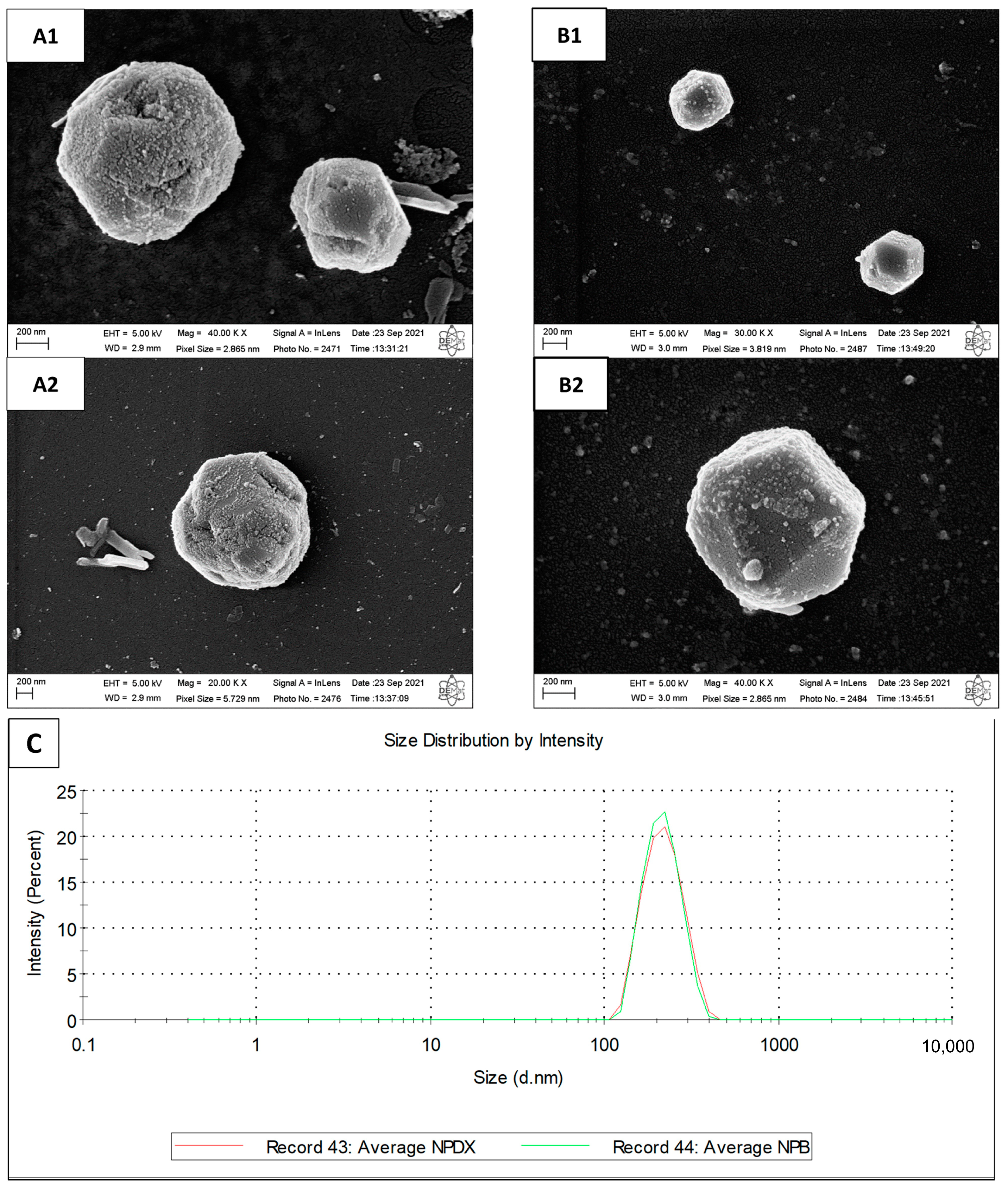 Pharmaceutics 15 01285 g009 Pharmaceutics 15 01285 g009