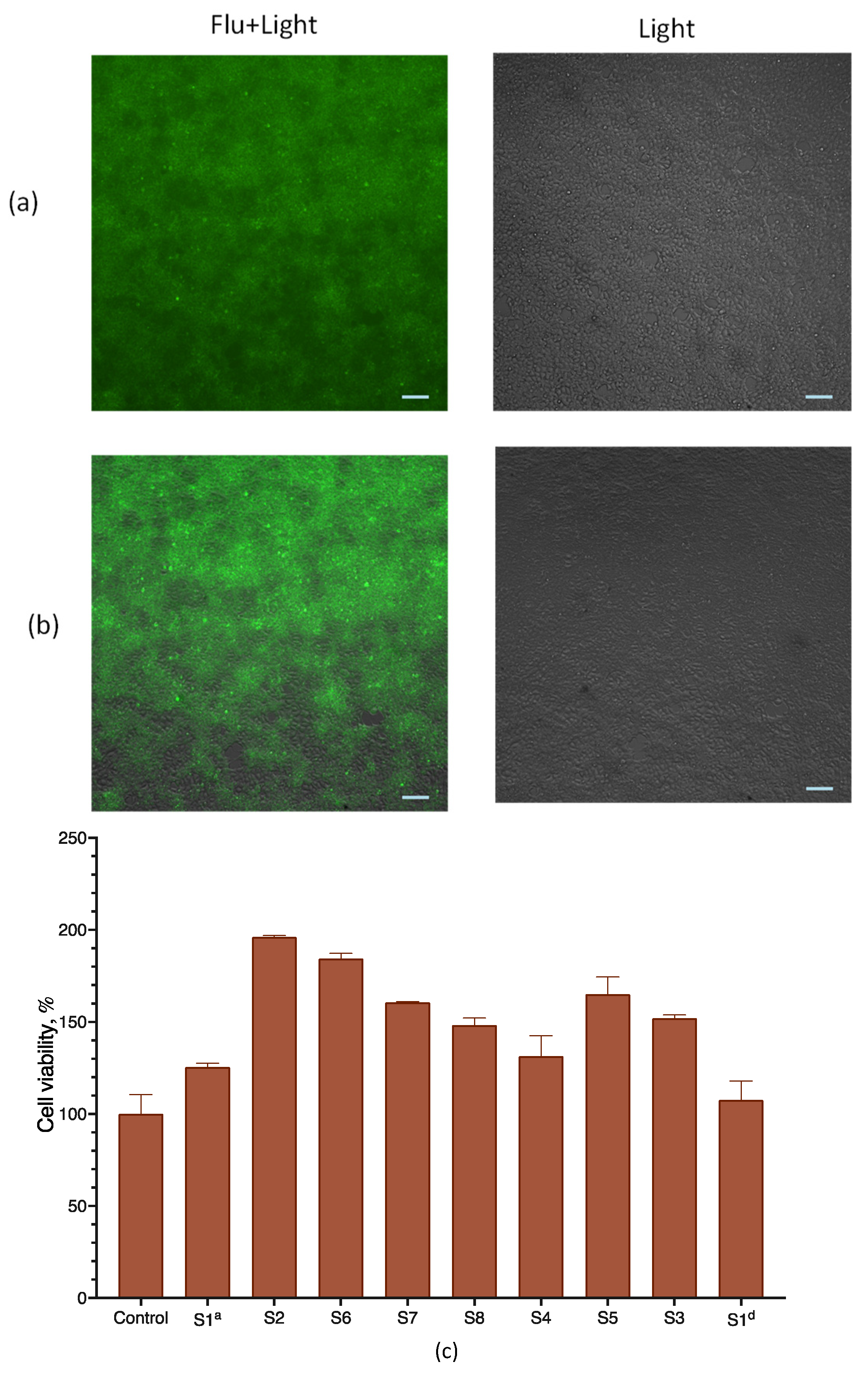 Pharmaceutics 15 01289 g005