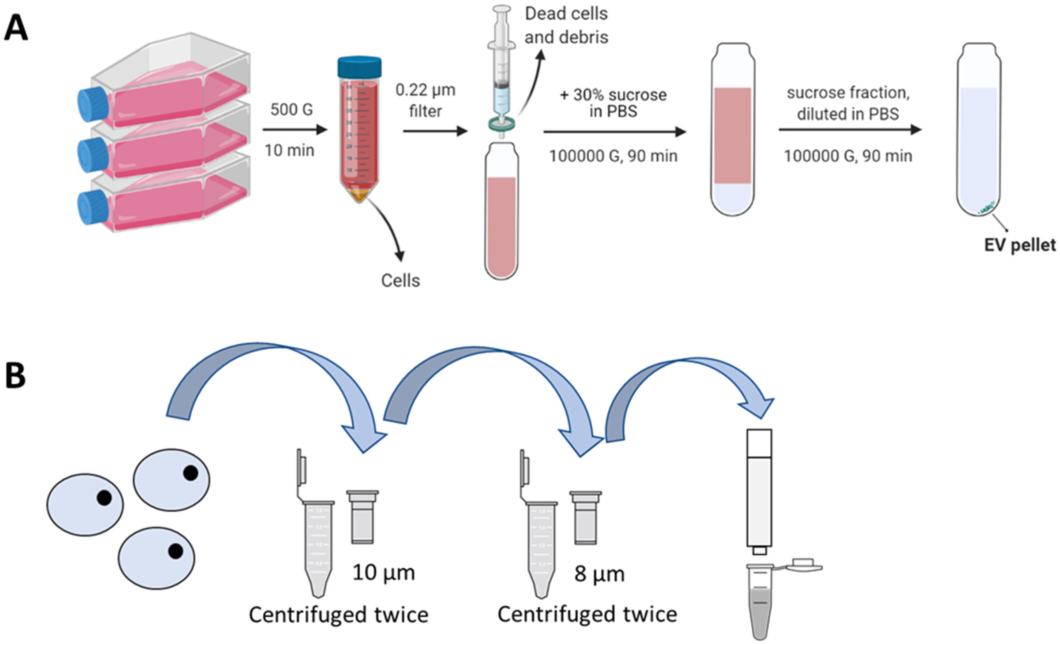Pharmaceutics 15 01290 g001 Pharmaceutics 15 01290 g001