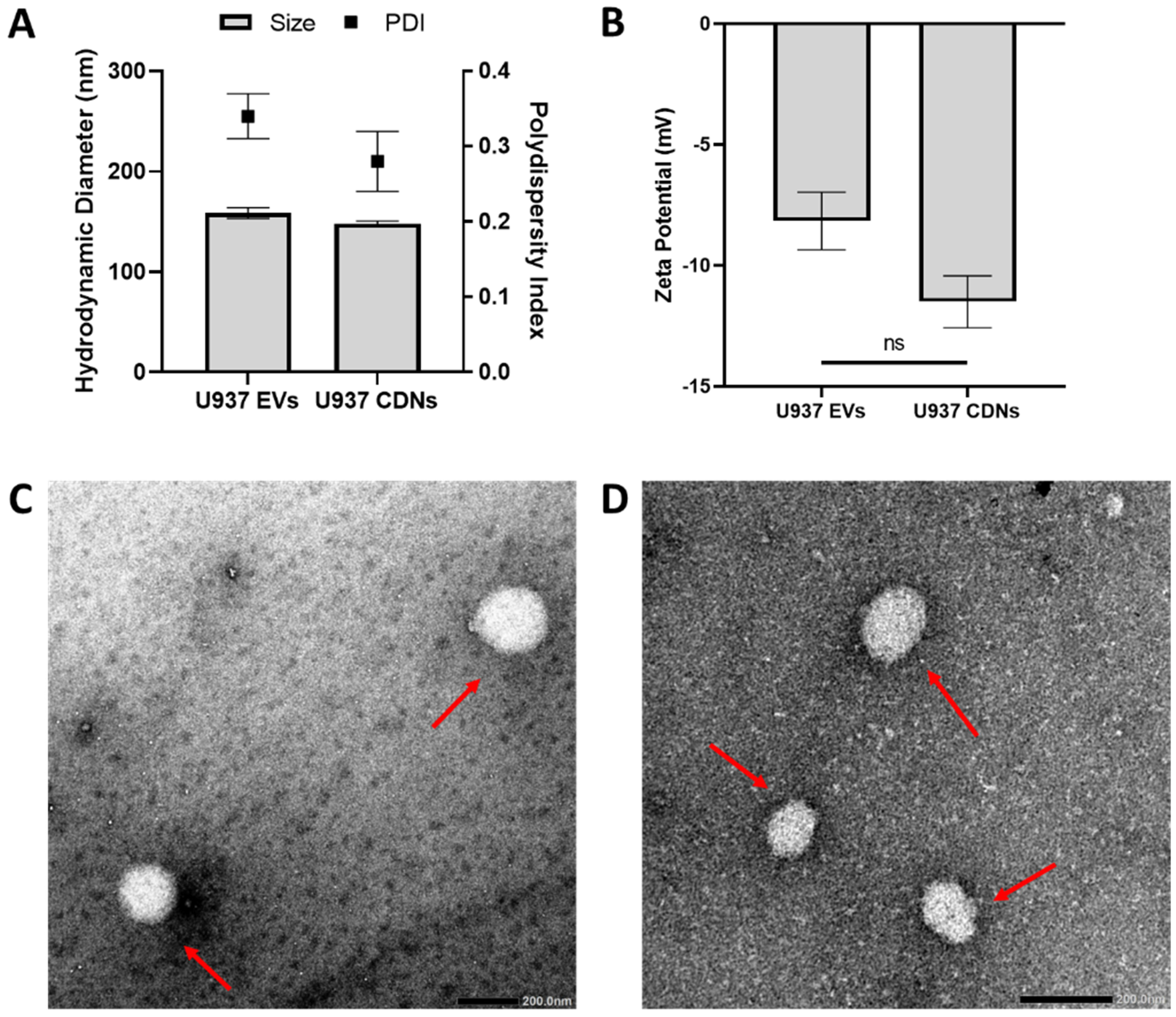 Pharmaceutics 15 01290 g002 Pharmaceutics 15 01290 g002