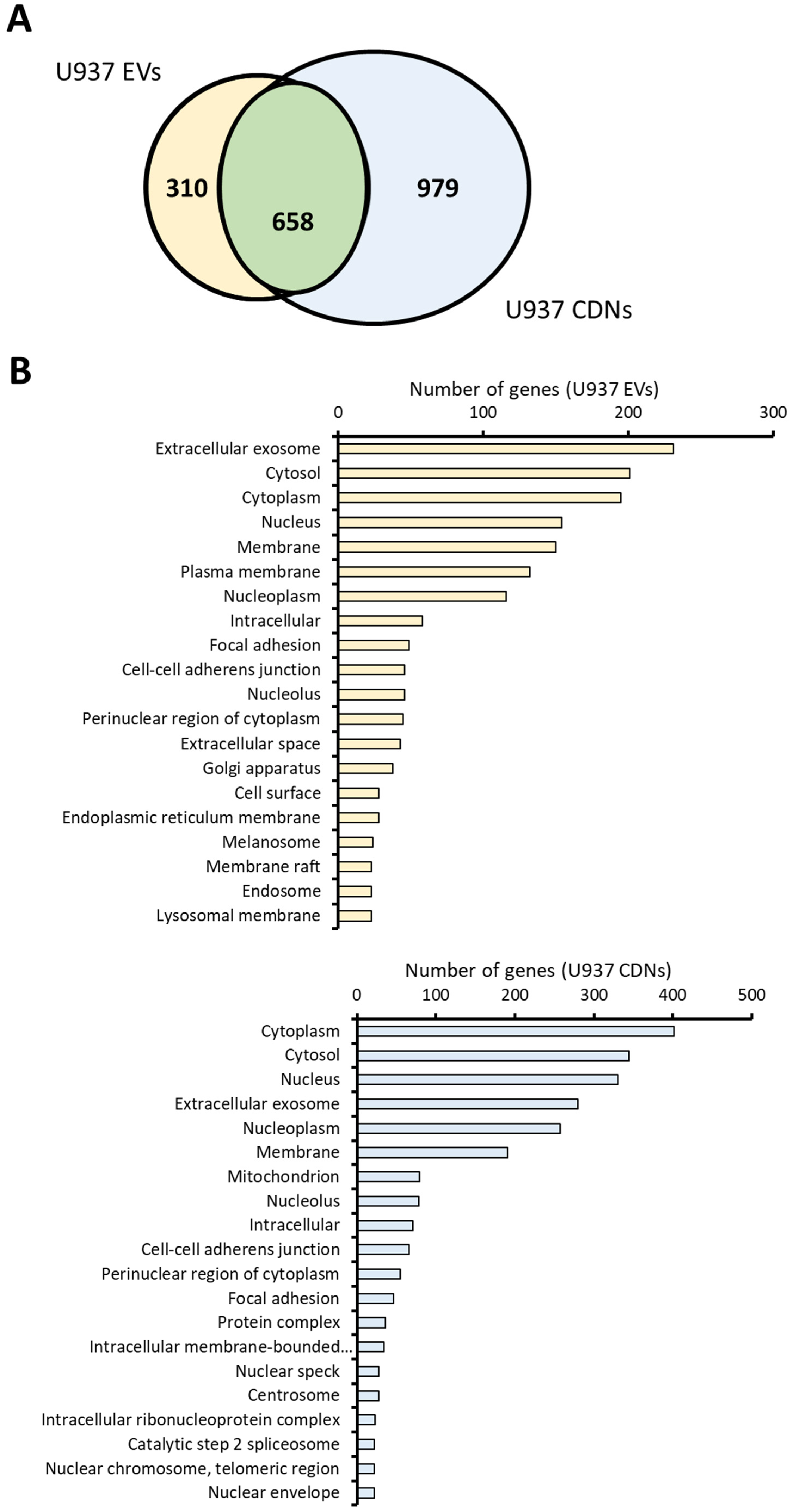 Pharmaceutics 15 01290 g003a Pharmaceutics 15 01290 g003a