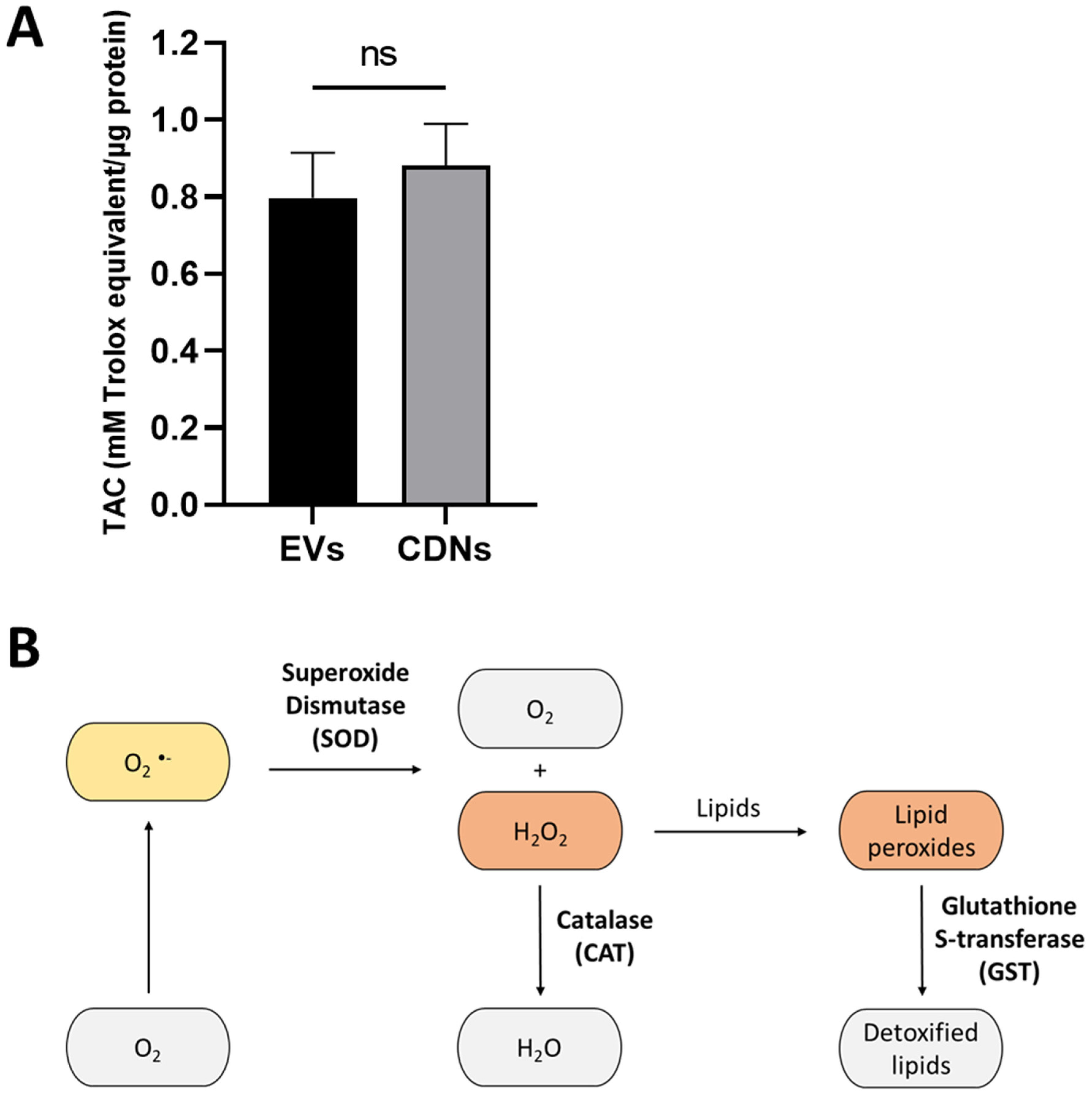 Pharmaceutics 15 01290 g005a Pharmaceutics 15 01290 g005a