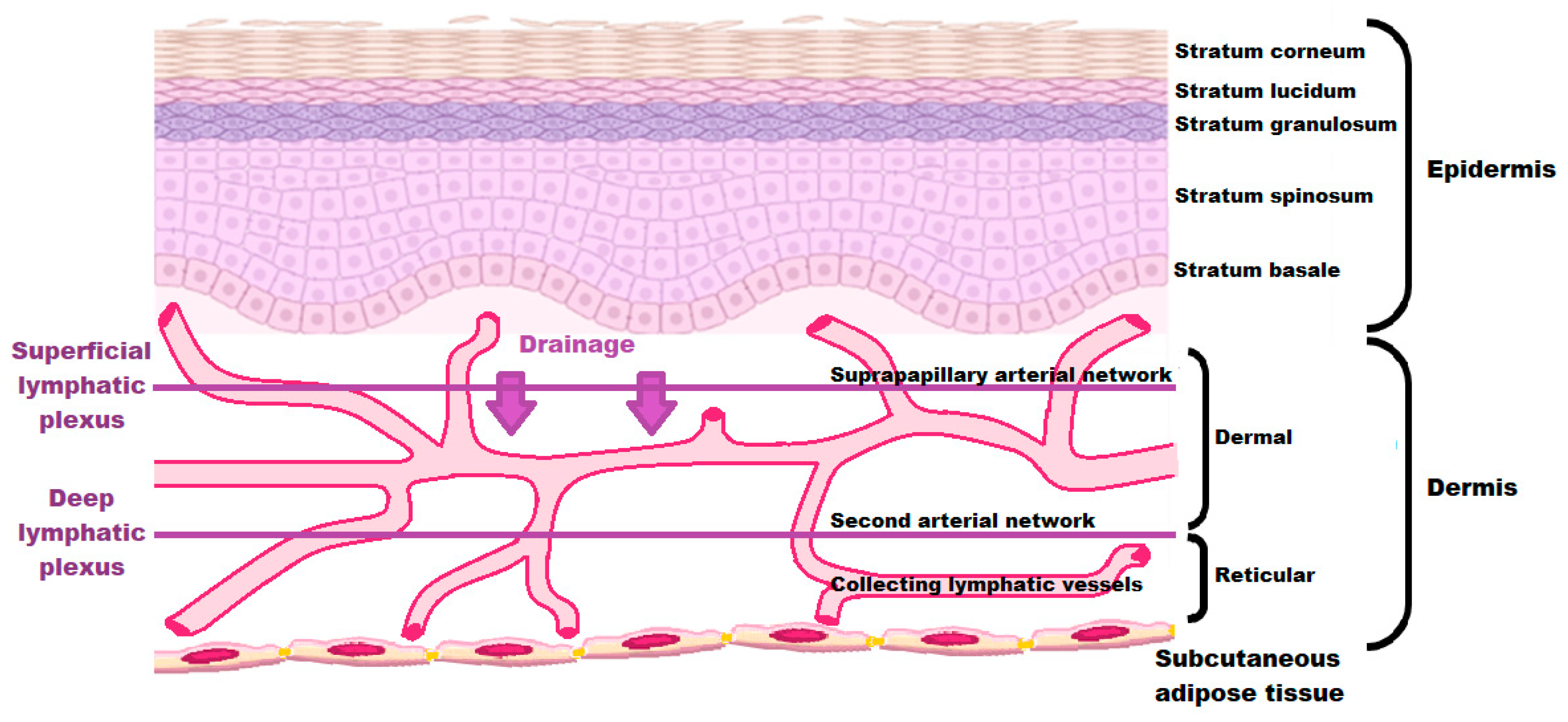 Pharmaceutics 15 01293 g003