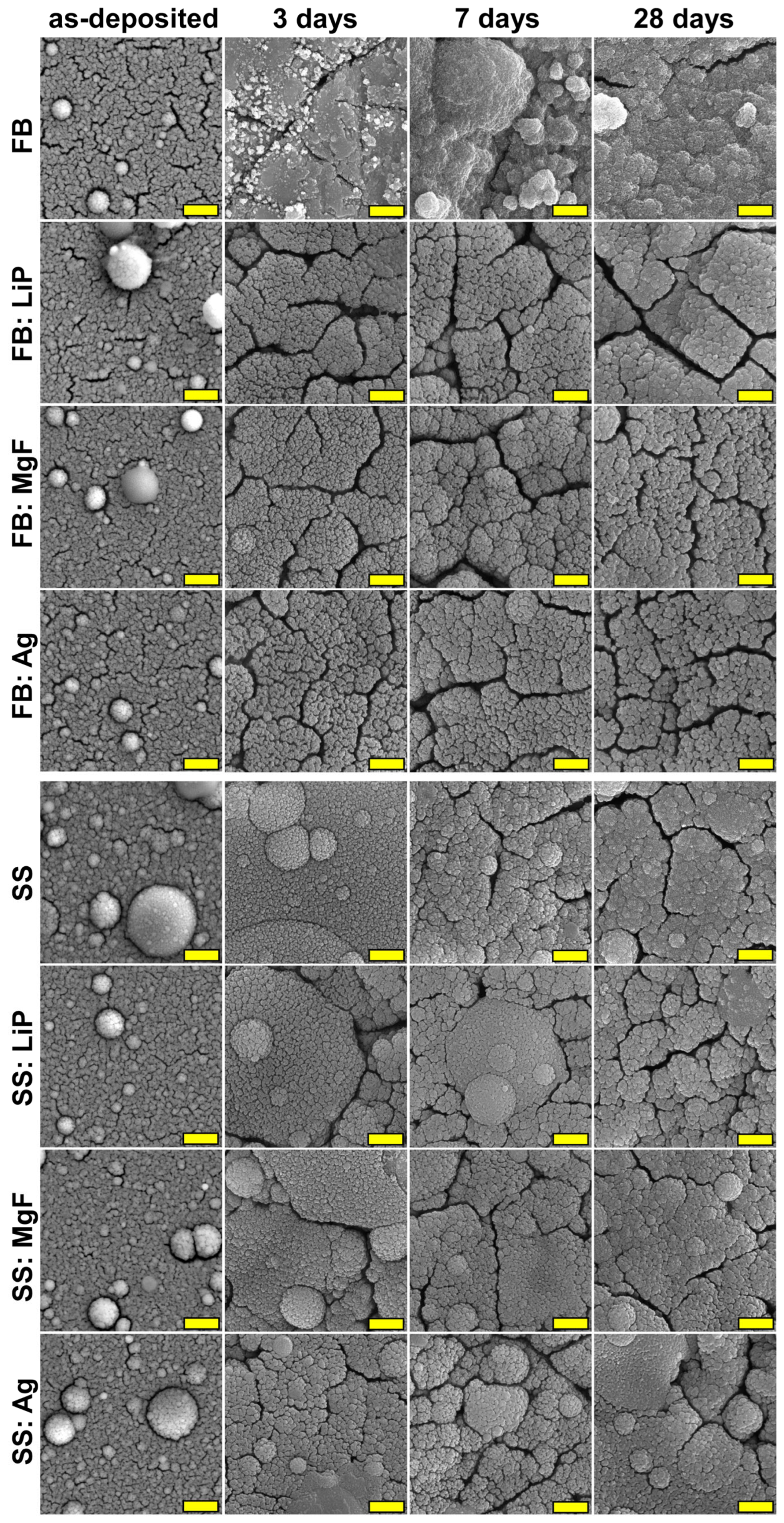 Pharmaceutics 15 01294 g008