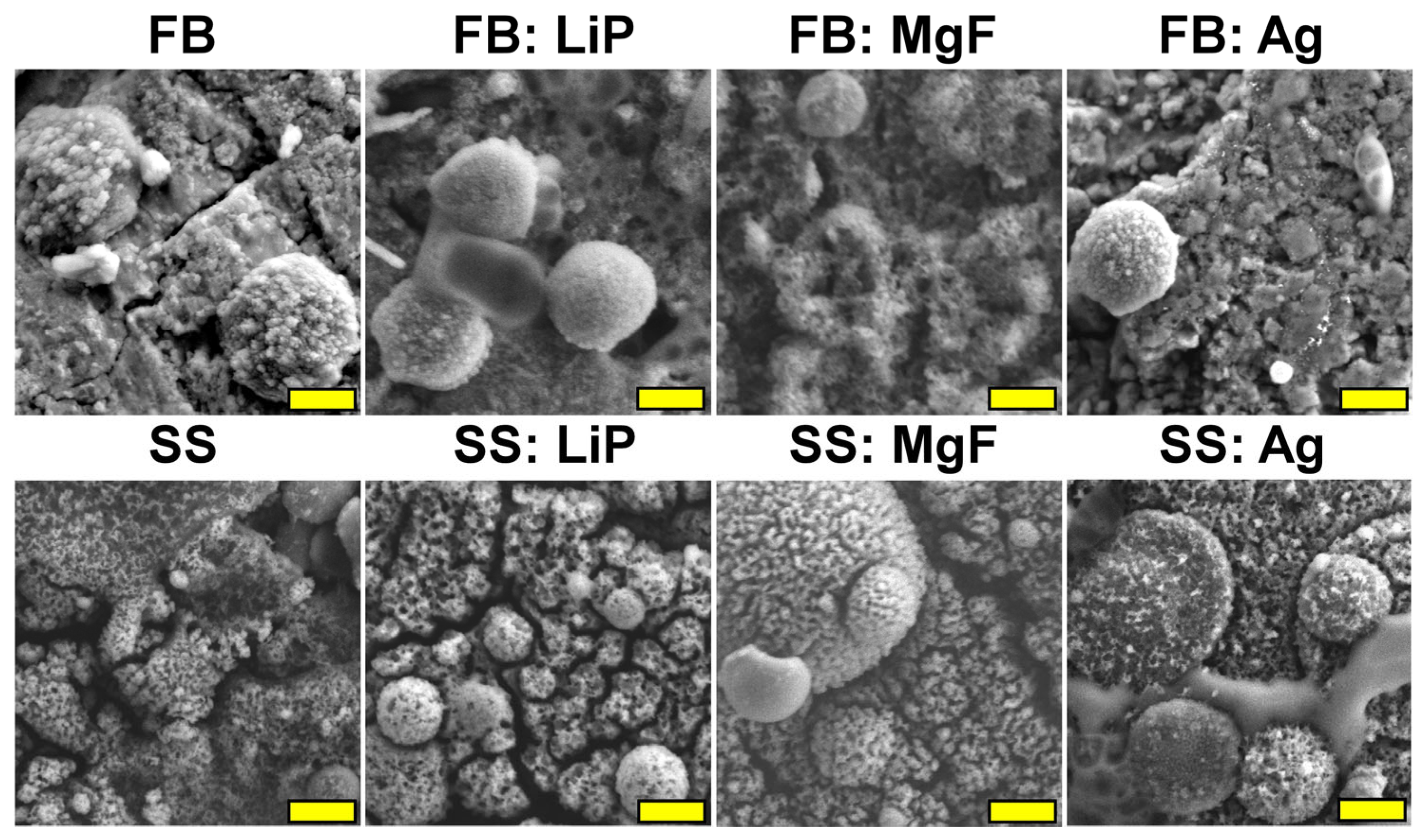 Pharmaceutics 15 01294 g009