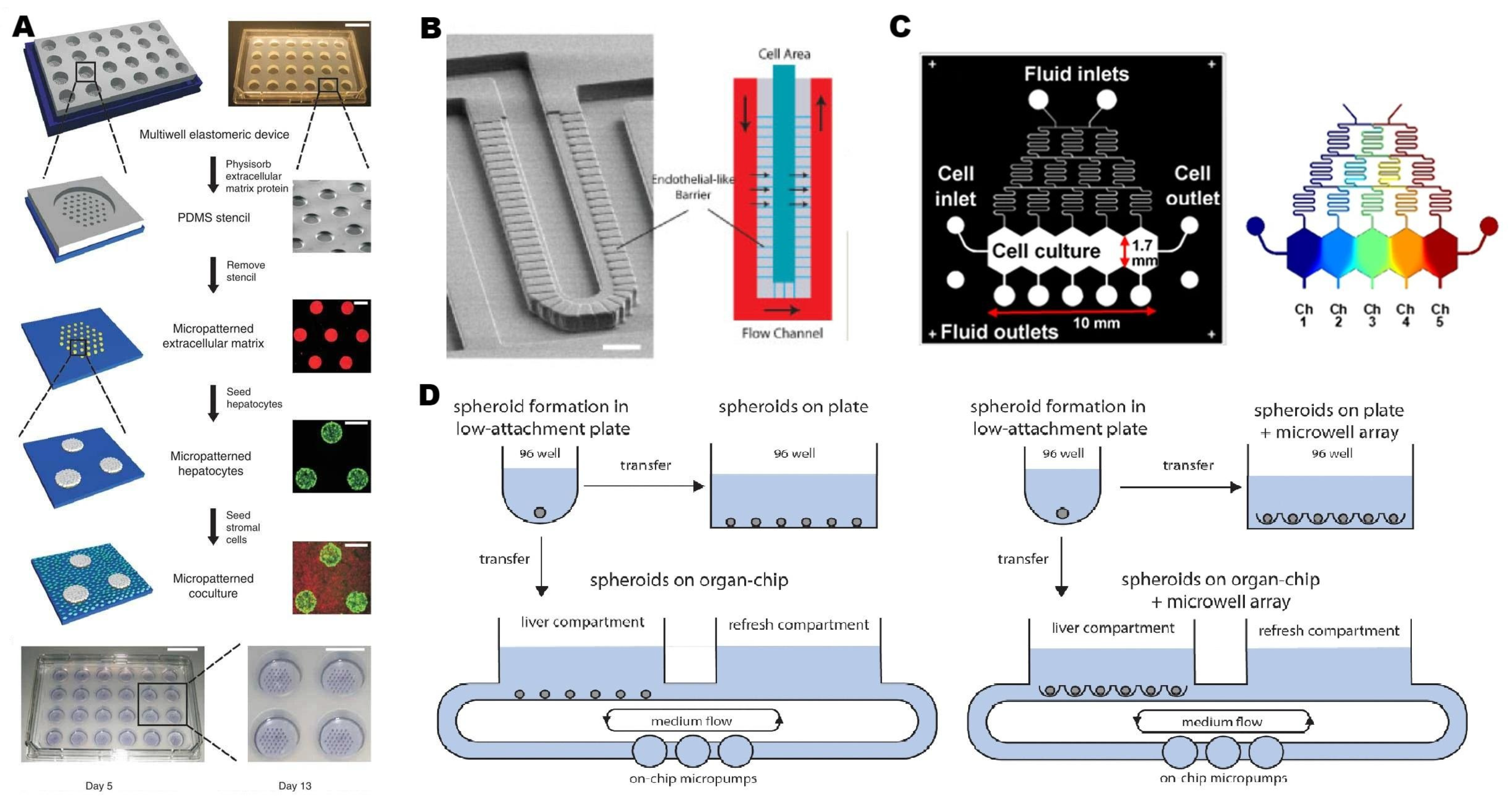 Pharmaceutics 15 01300 g002 Pharmaceutics 15 01300 g002
