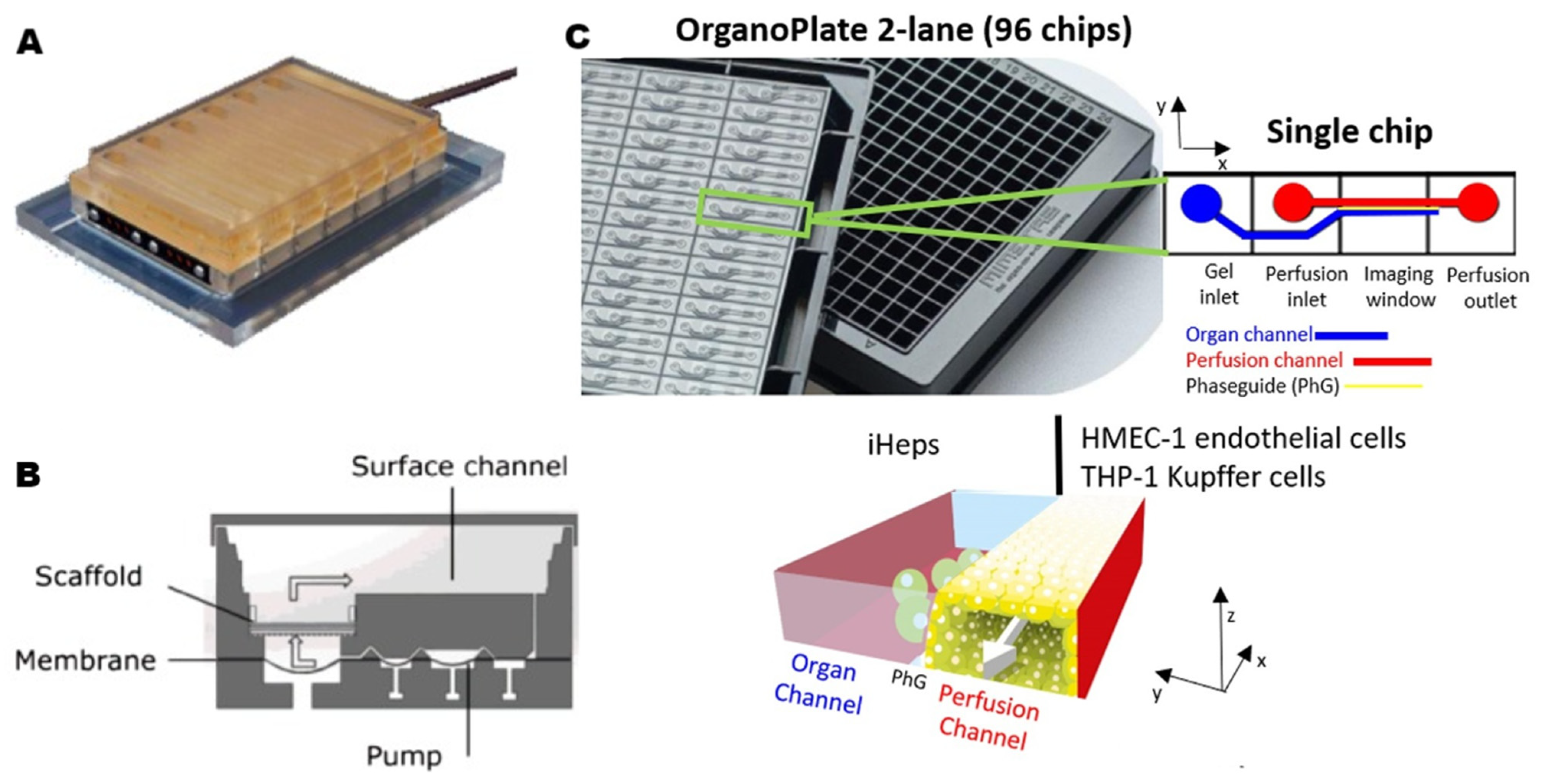 Pharmaceutics 15 01300 g003 Pharmaceutics 15 01300 g003