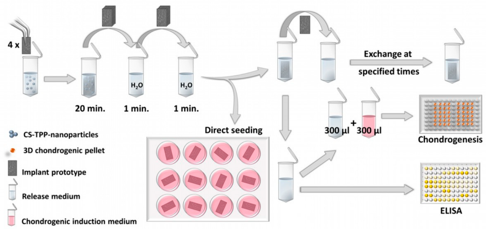 Pharmaceutics 15 01303 g001 Pharmaceutics 15 01303 g001