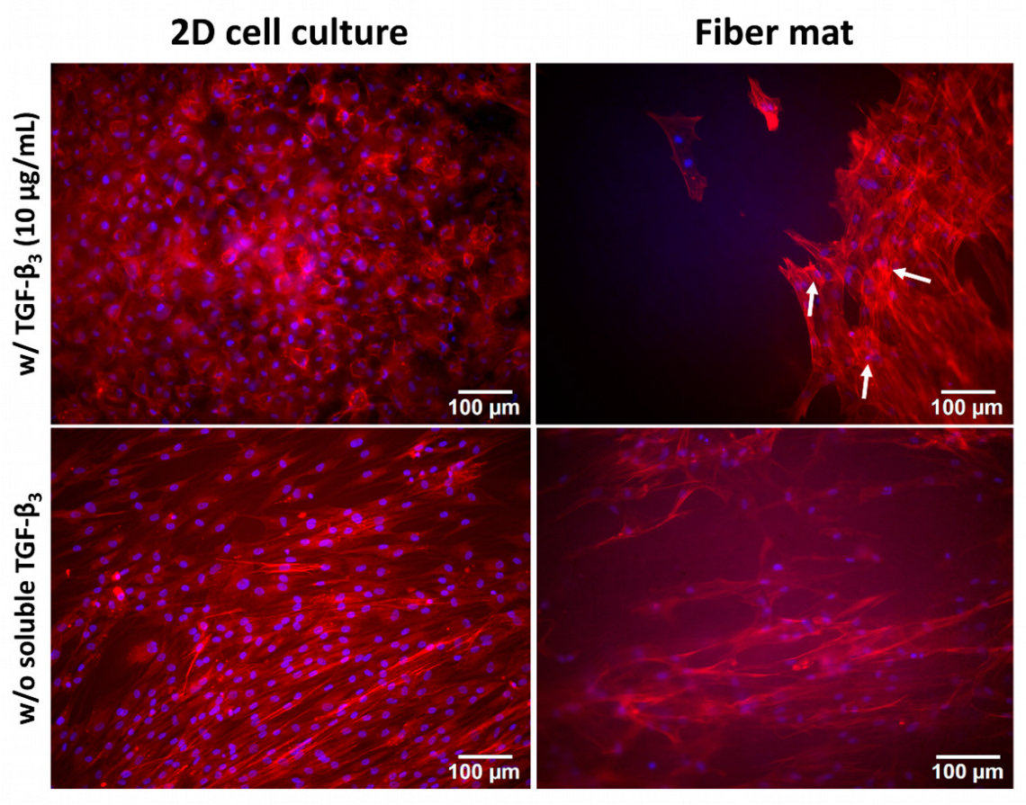 Pharmaceutics 15 01303 g005 Pharmaceutics 15 01303 g005