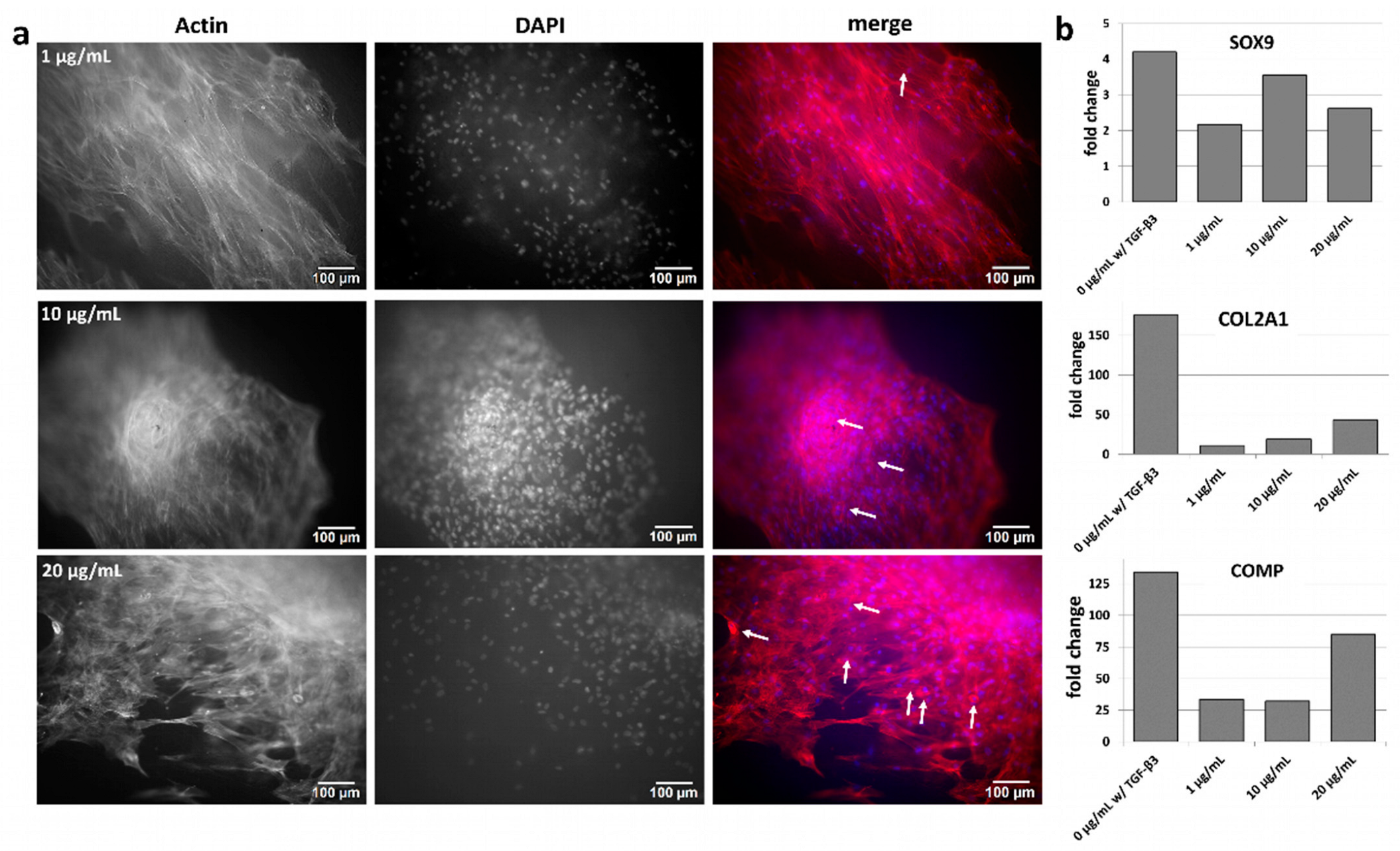 Pharmaceutics 15 01303 g006 Pharmaceutics 15 01303 g006