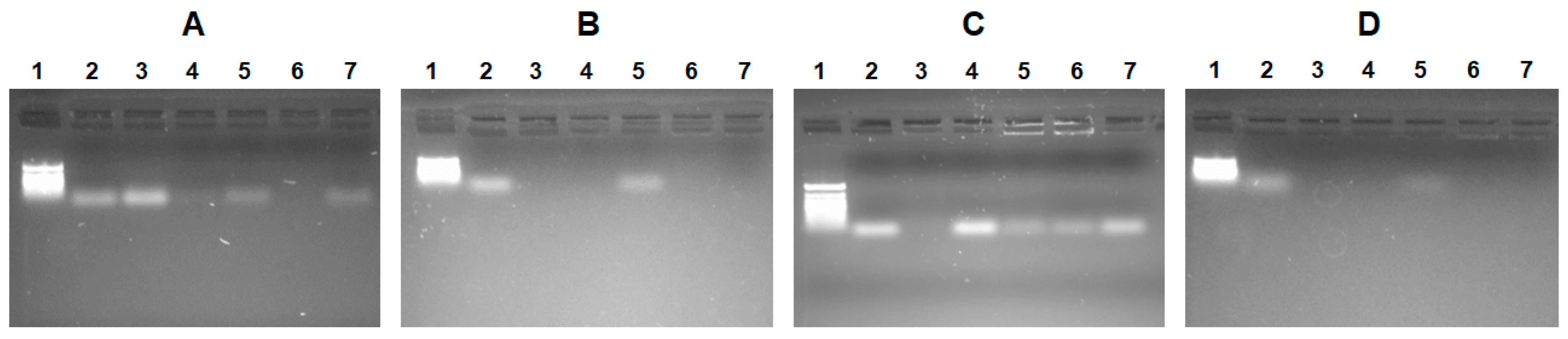 Pharmaceutics 15 01308 g004 Pharmaceutics 15 01308 g004