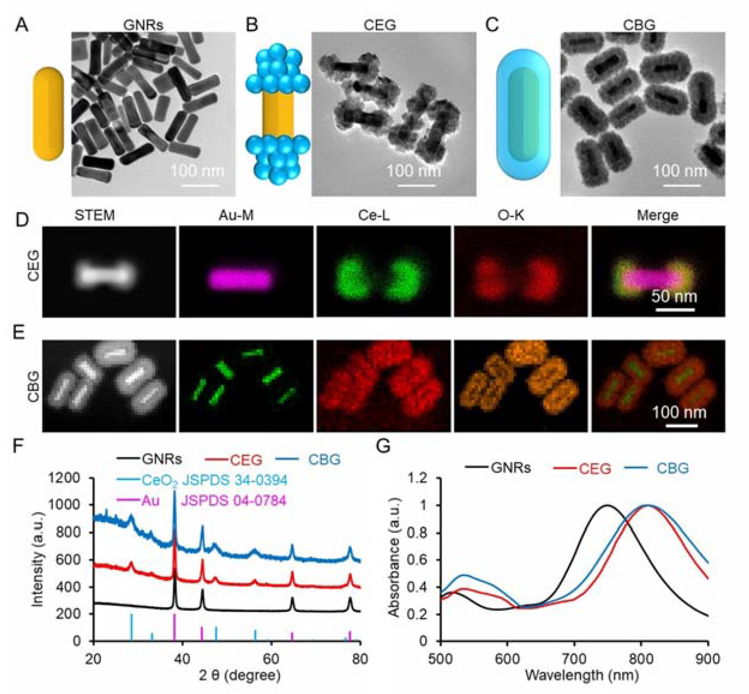 Pharmaceutics 15 01309 g002
