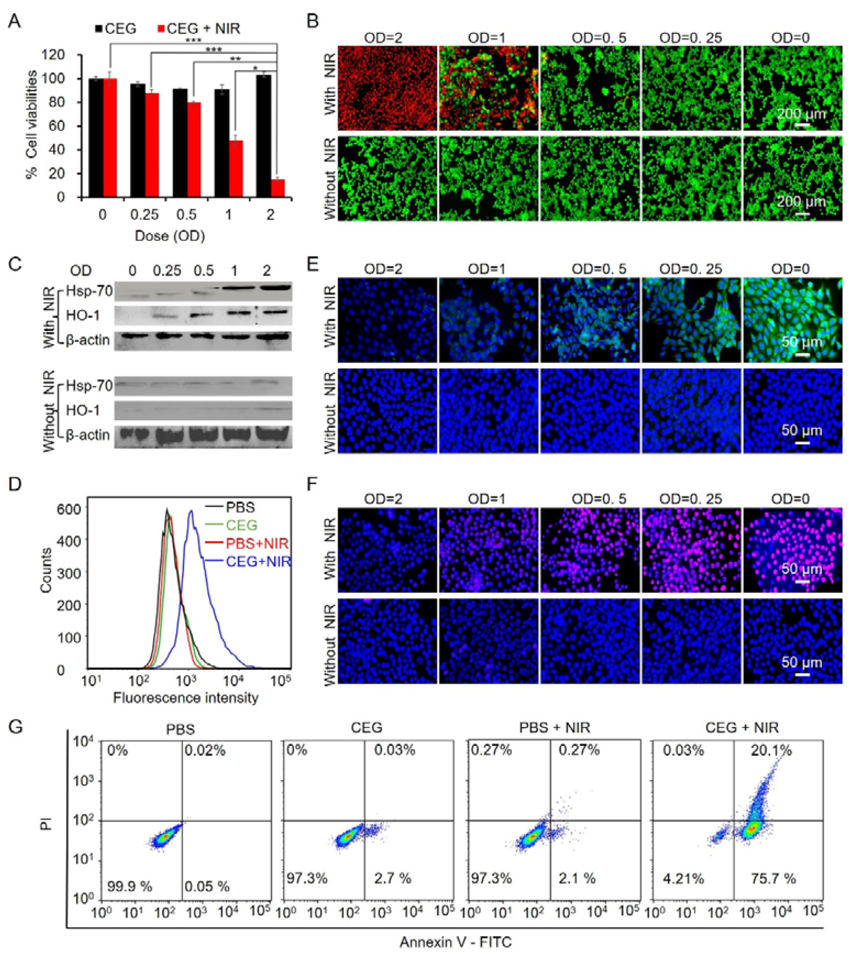 Pharmaceutics 15 01309 g004