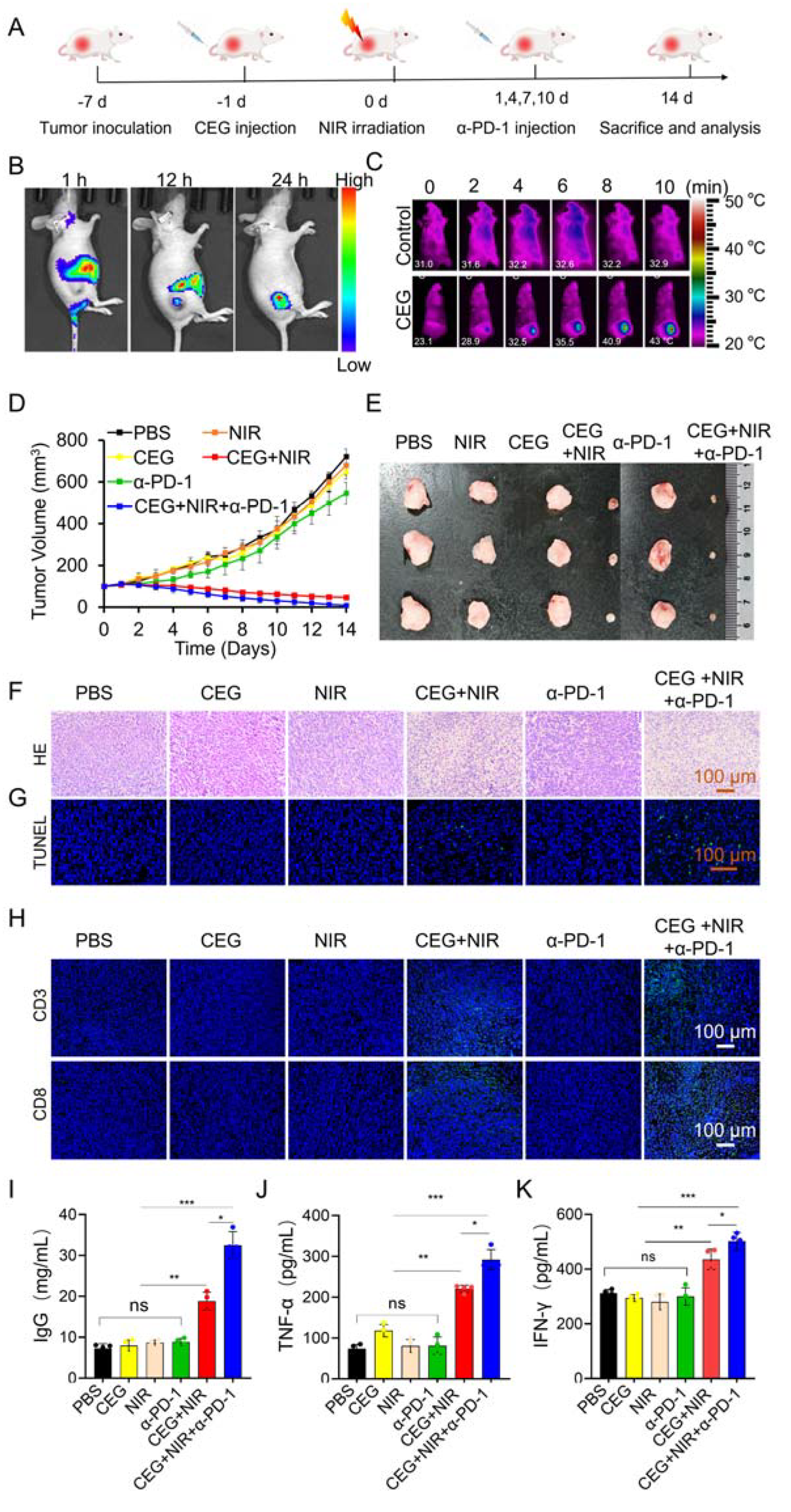 Pharmaceutics 15 01309 g005