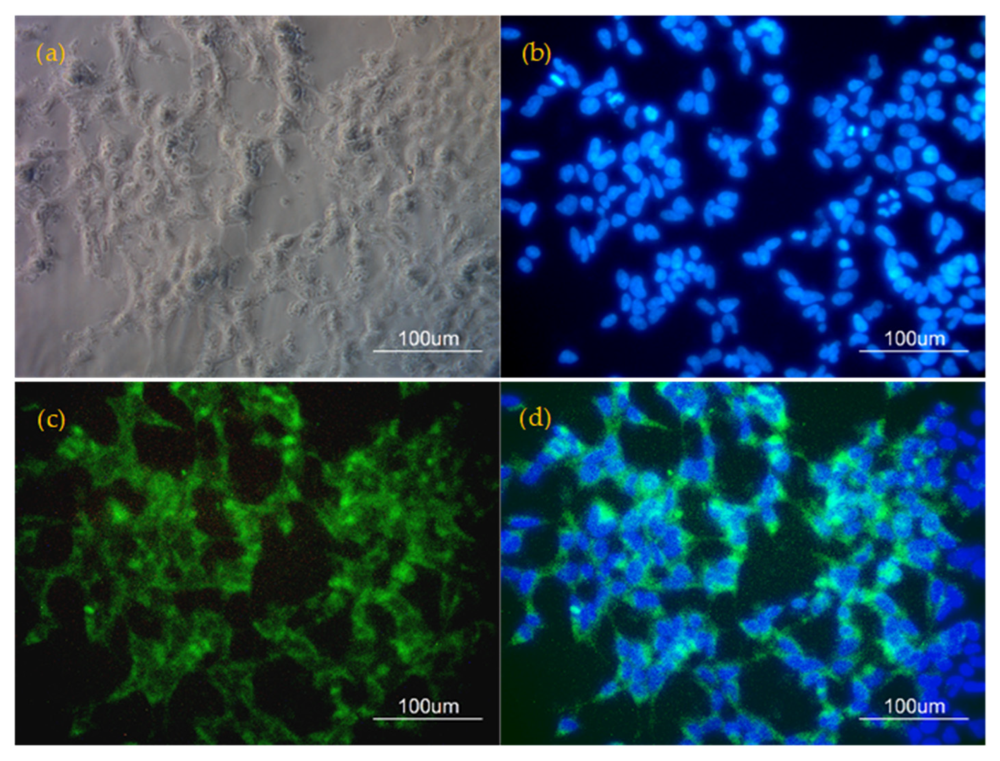 Pharmaceutics 15 01311 g002 Pharmaceutics 15 01311 g002