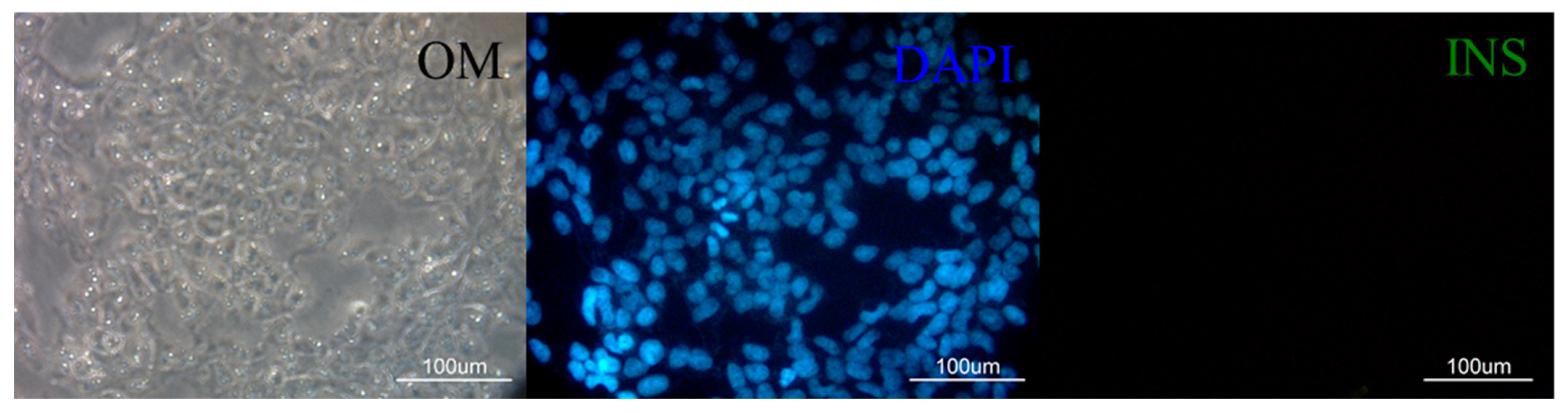 Pharmaceutics 15 01311 g003 Pharmaceutics 15 01311 g003