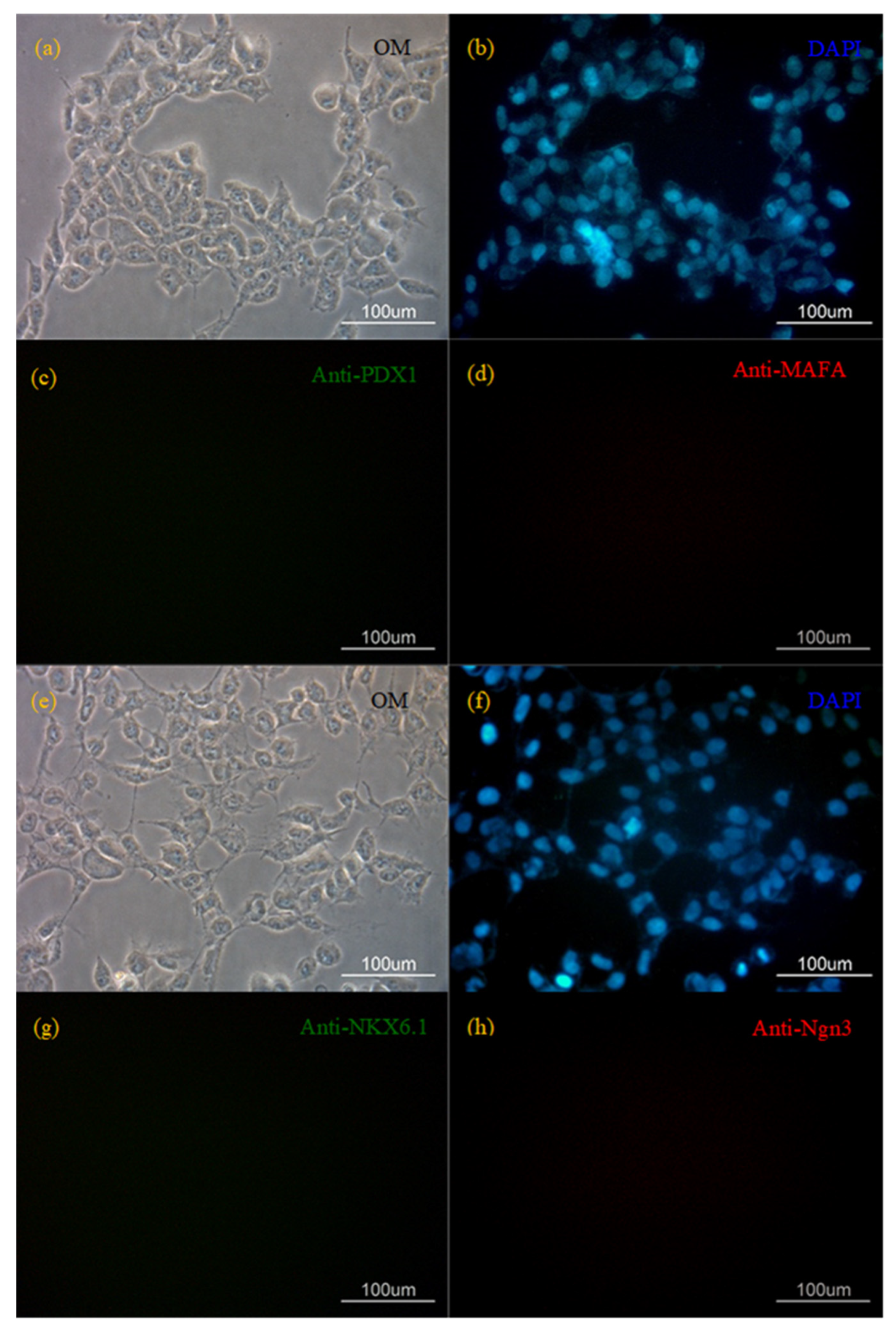 Pharmaceutics 15 01311 g005 Pharmaceutics 15 01311 g005